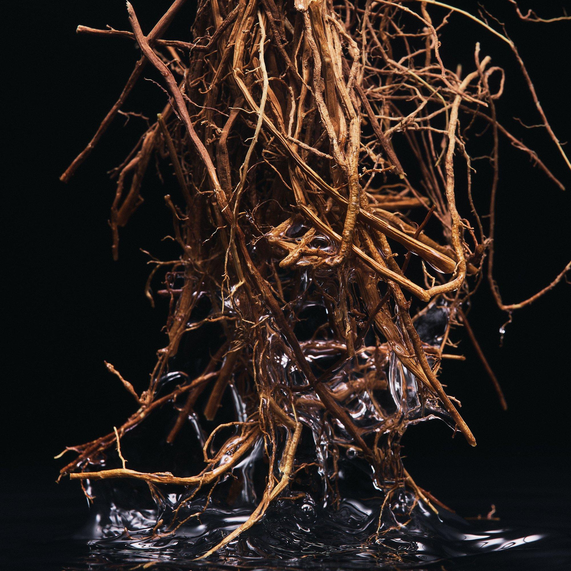 Clear - Dolce and Gabbana - Velvet Vetiver Eau de Parfum - 4