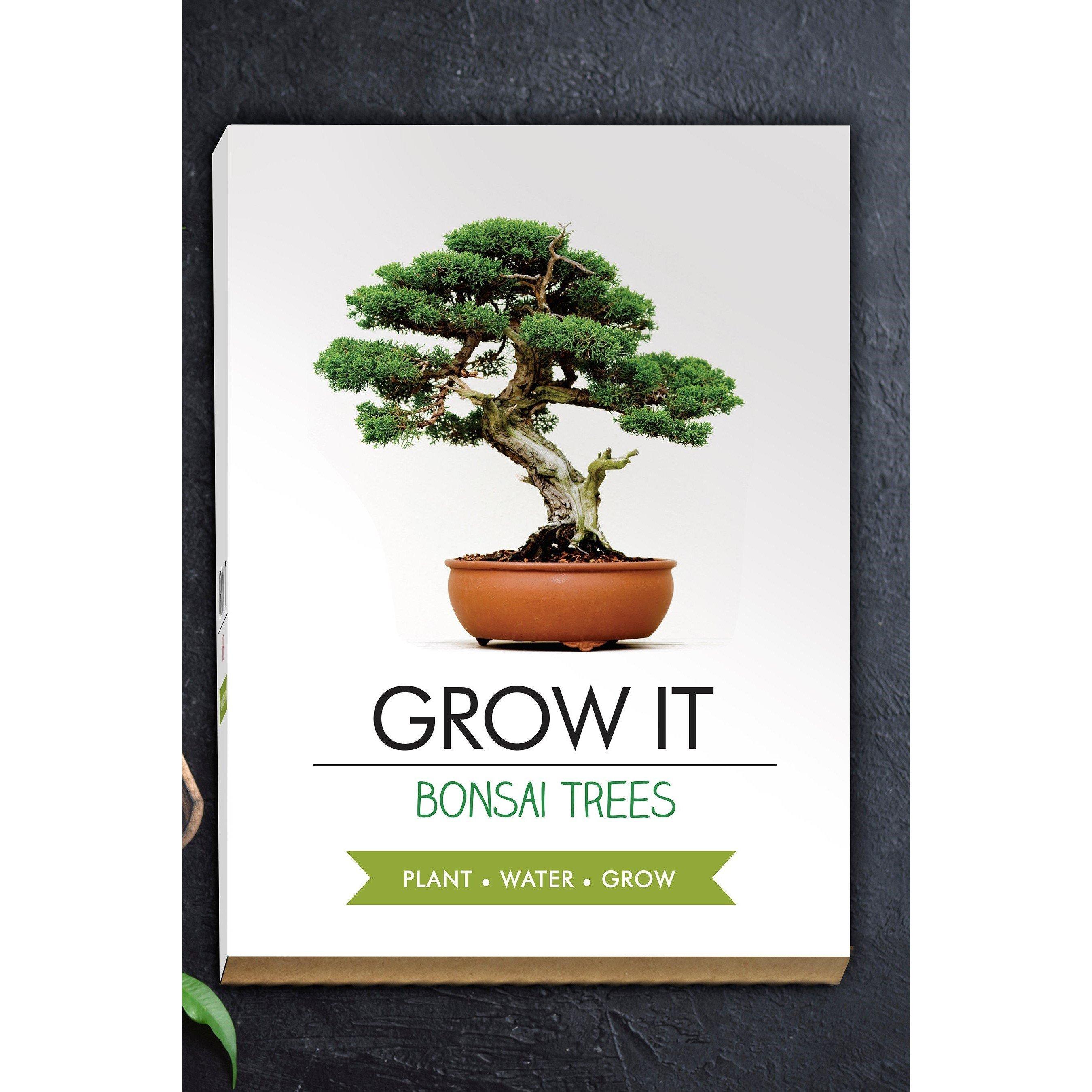 Grow It  Bonsai - 