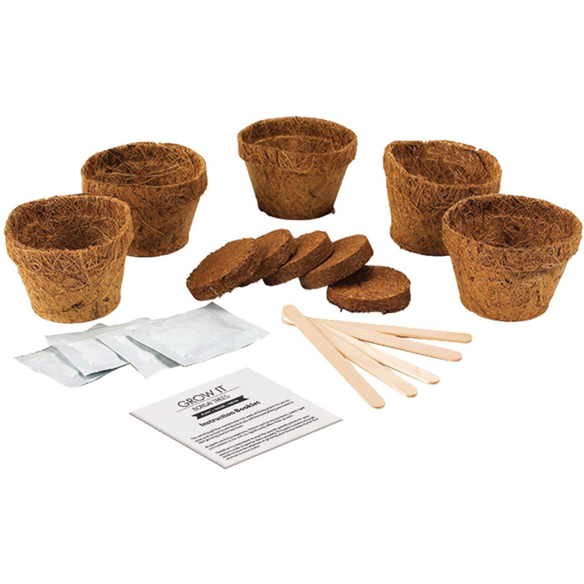 Multi - Grow It - Bonsai Grow it - 2