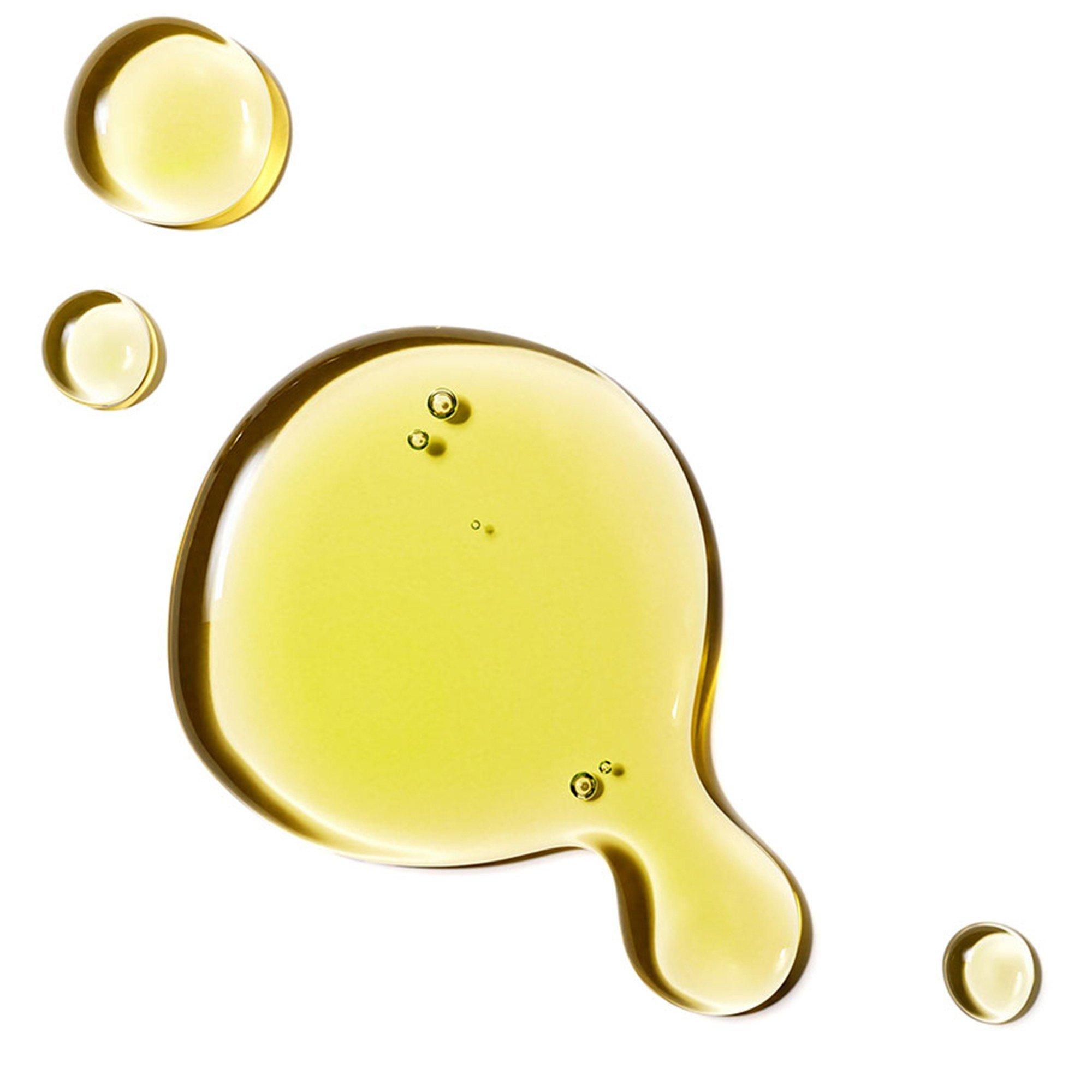 Not Applicable - Seed to Skin - The Midnight Miracle - 2
