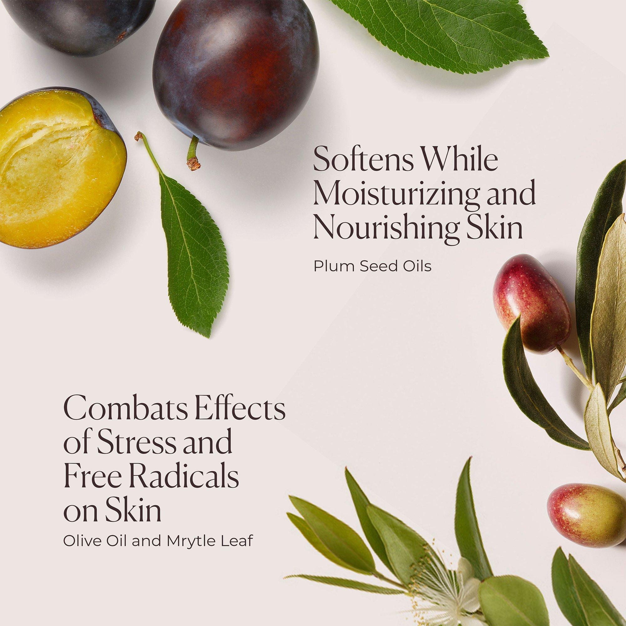 Almond Coconut - Laura Mercier - Laura Mercier Hydrating Body Wash 200ml - Almond Coconut - 4