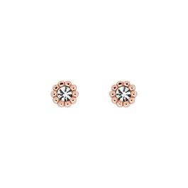 Ted Baker Neeno Earrings