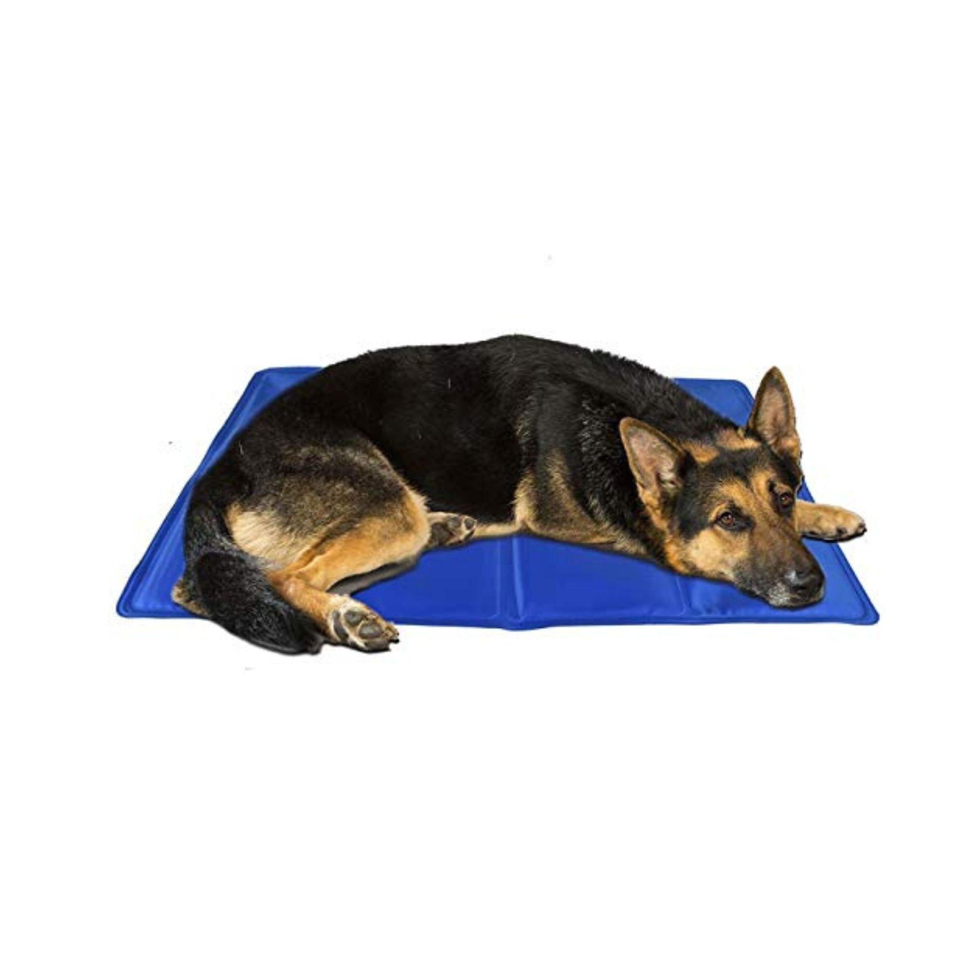 Blue - Coco Jojo - COCO J Coco Jojo Ext 99 - 2