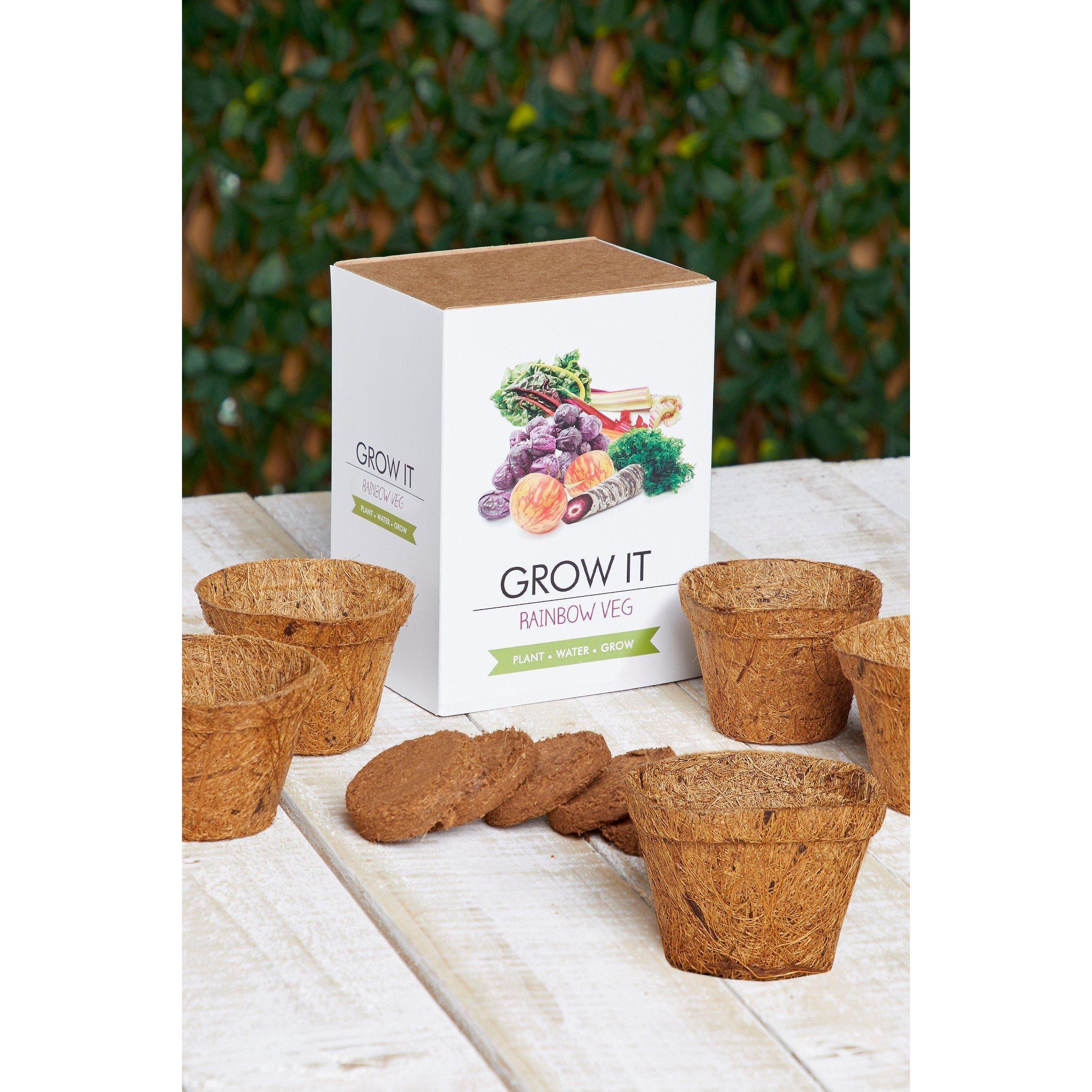 Multi - Grow It - Rainbow Veg Grow It - 2