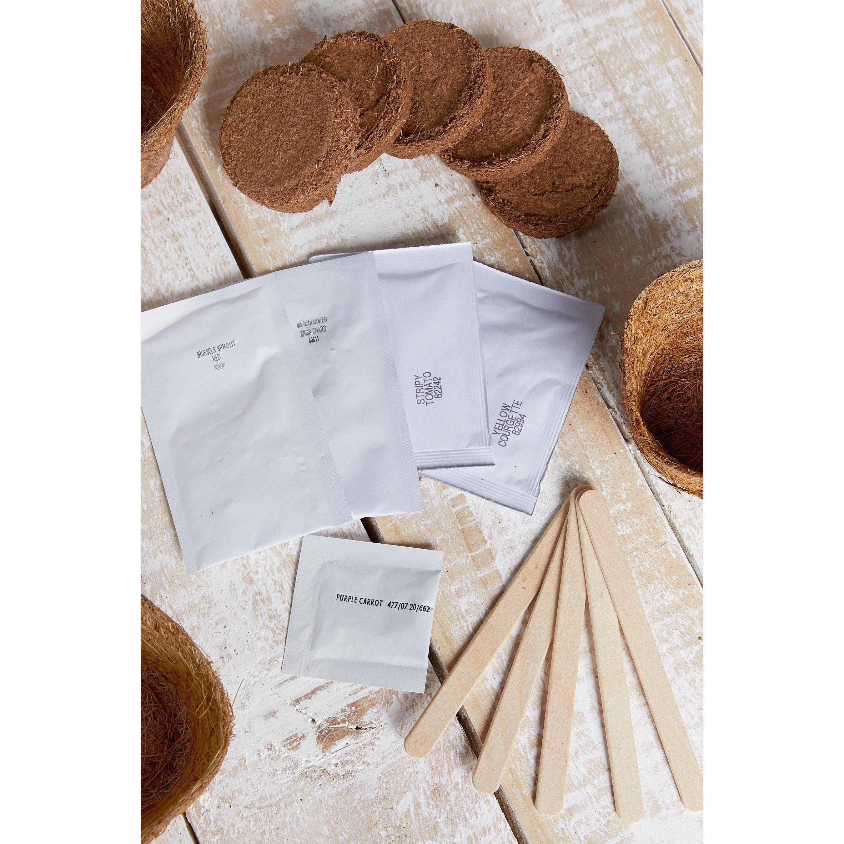 Multi - Grow It - Rainbow Veg Grow It - 3