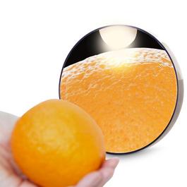 Rio Rio x 10 Magnifying Mirror with Light