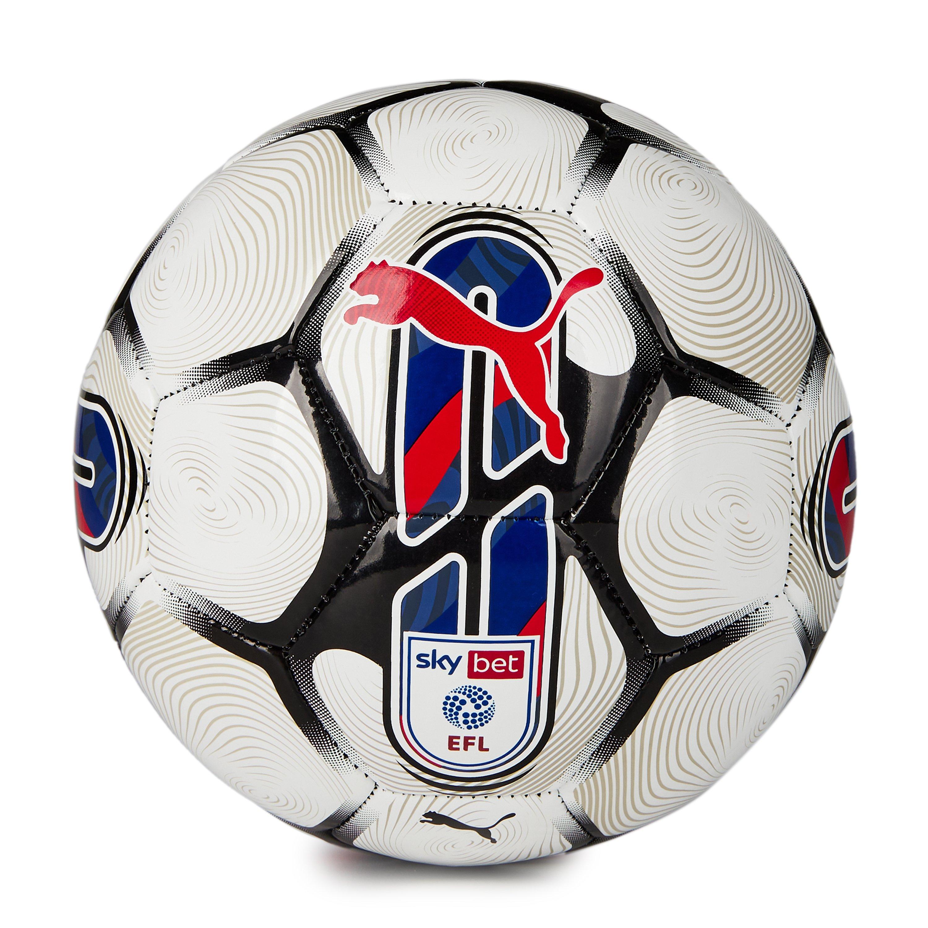 Puma Orbita 6 EFL Football 2023-24