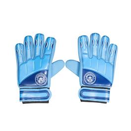 Team Hypro Team Delta GK Gloves