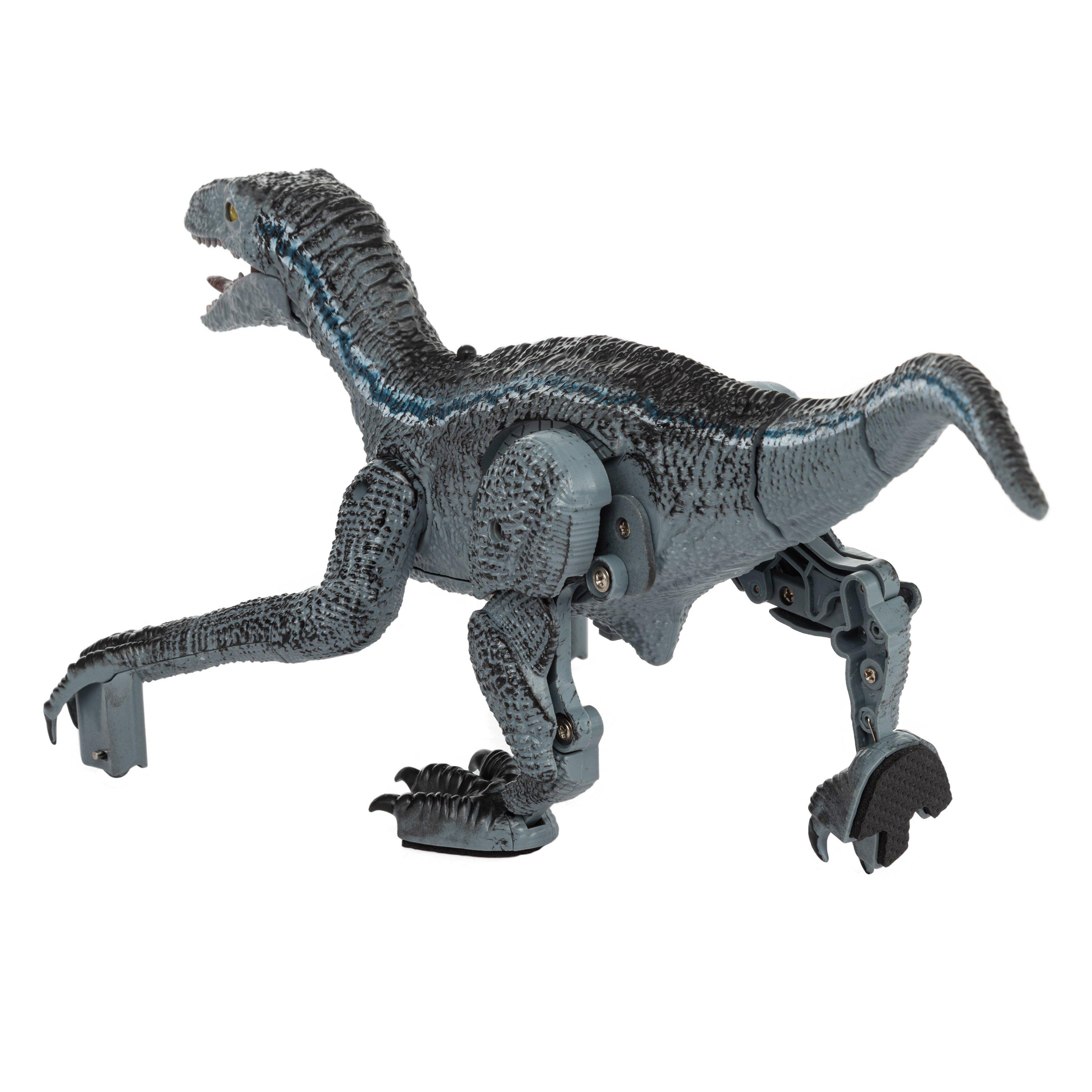 Blue - Toylife - Control Dinosaur Blue Velociraptor - 4