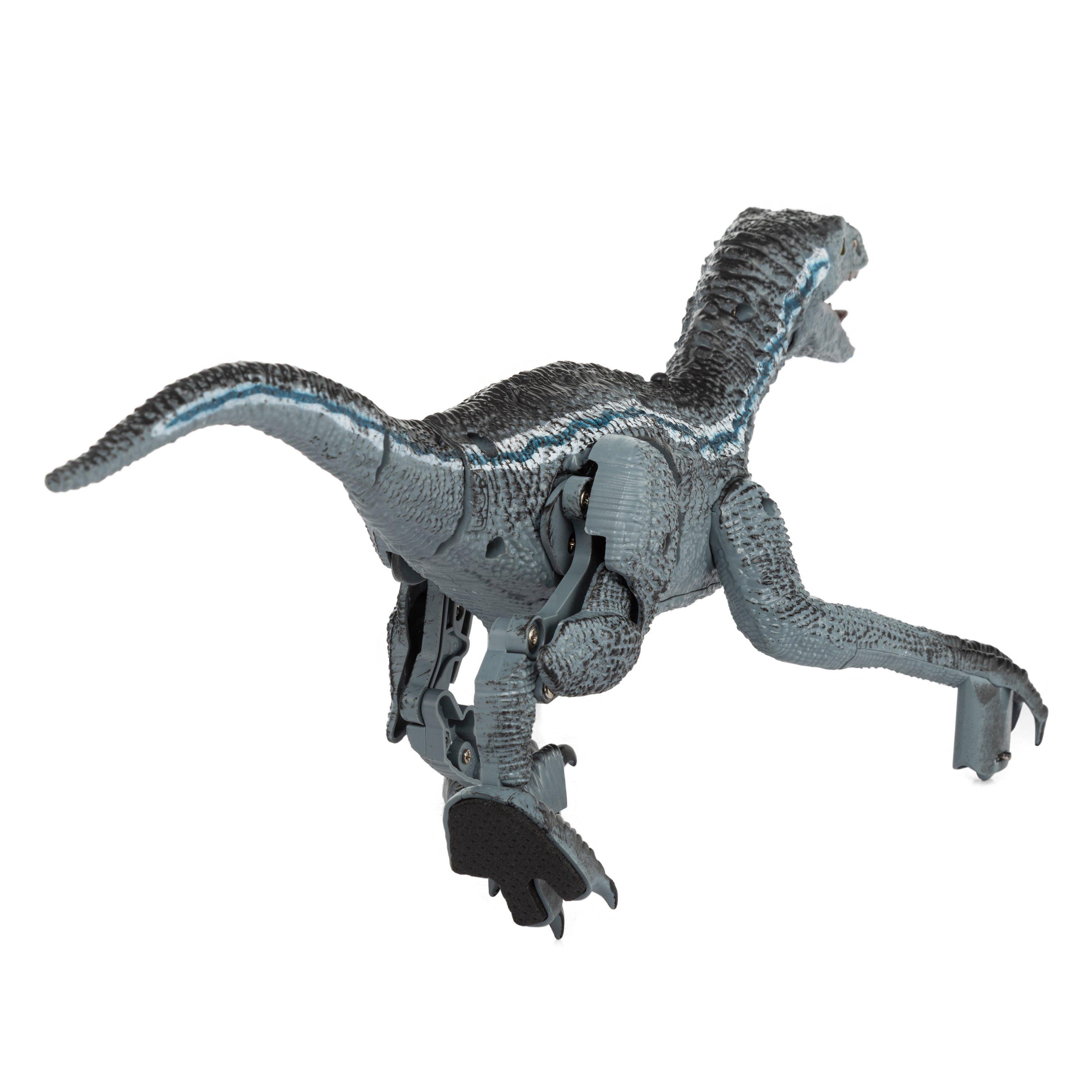 Blue - Toylife - Control Dinosaur Blue Velociraptor - 5
