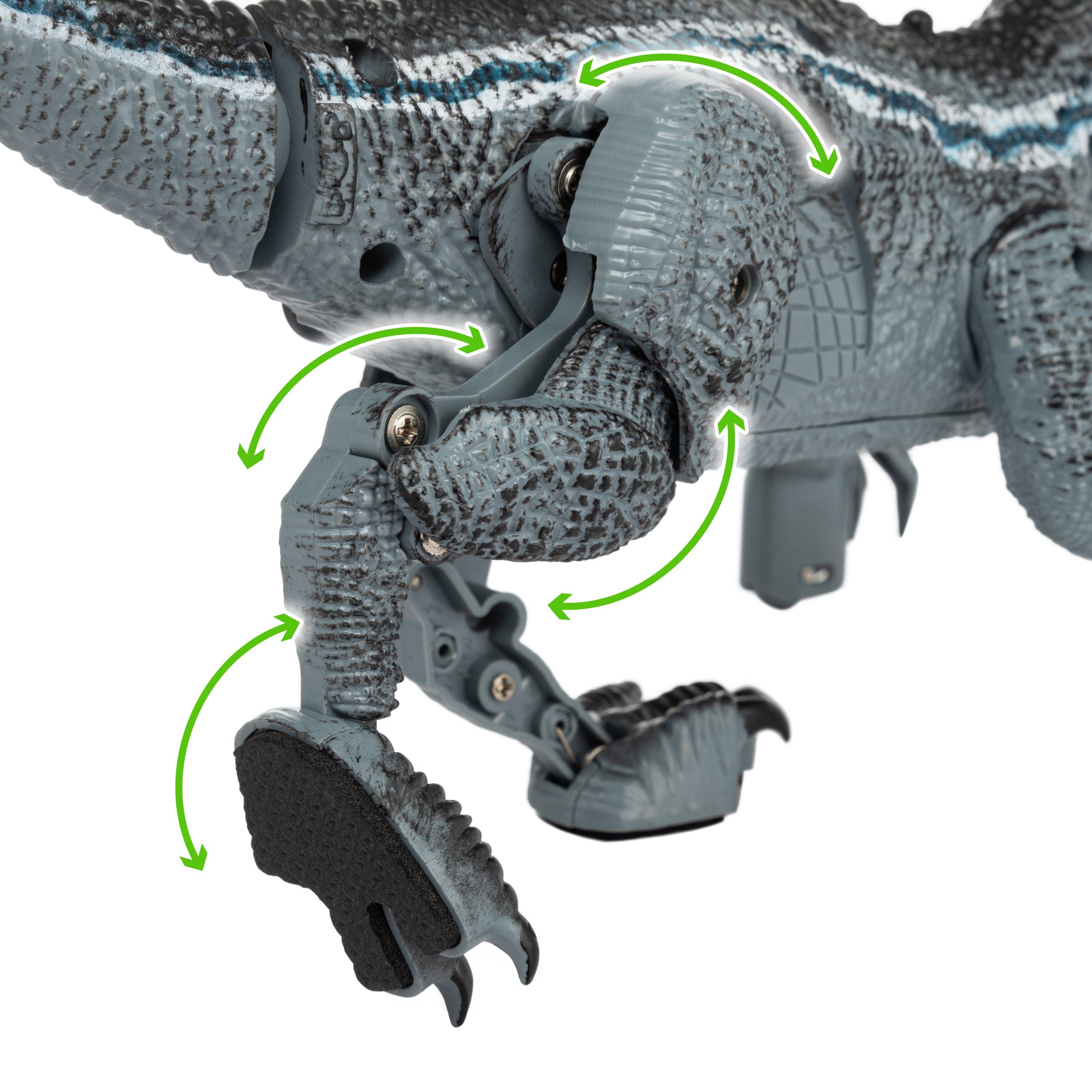 Blue - Toylife - Control Dinosaur Blue Velociraptor - 6