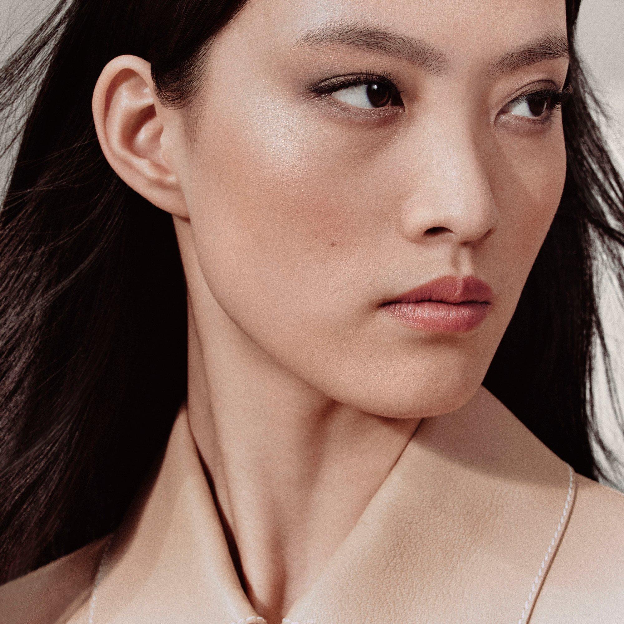 Ombres Fumées - Hermes - Ombres d'Hermès, Eye shadow quartet refill - 5