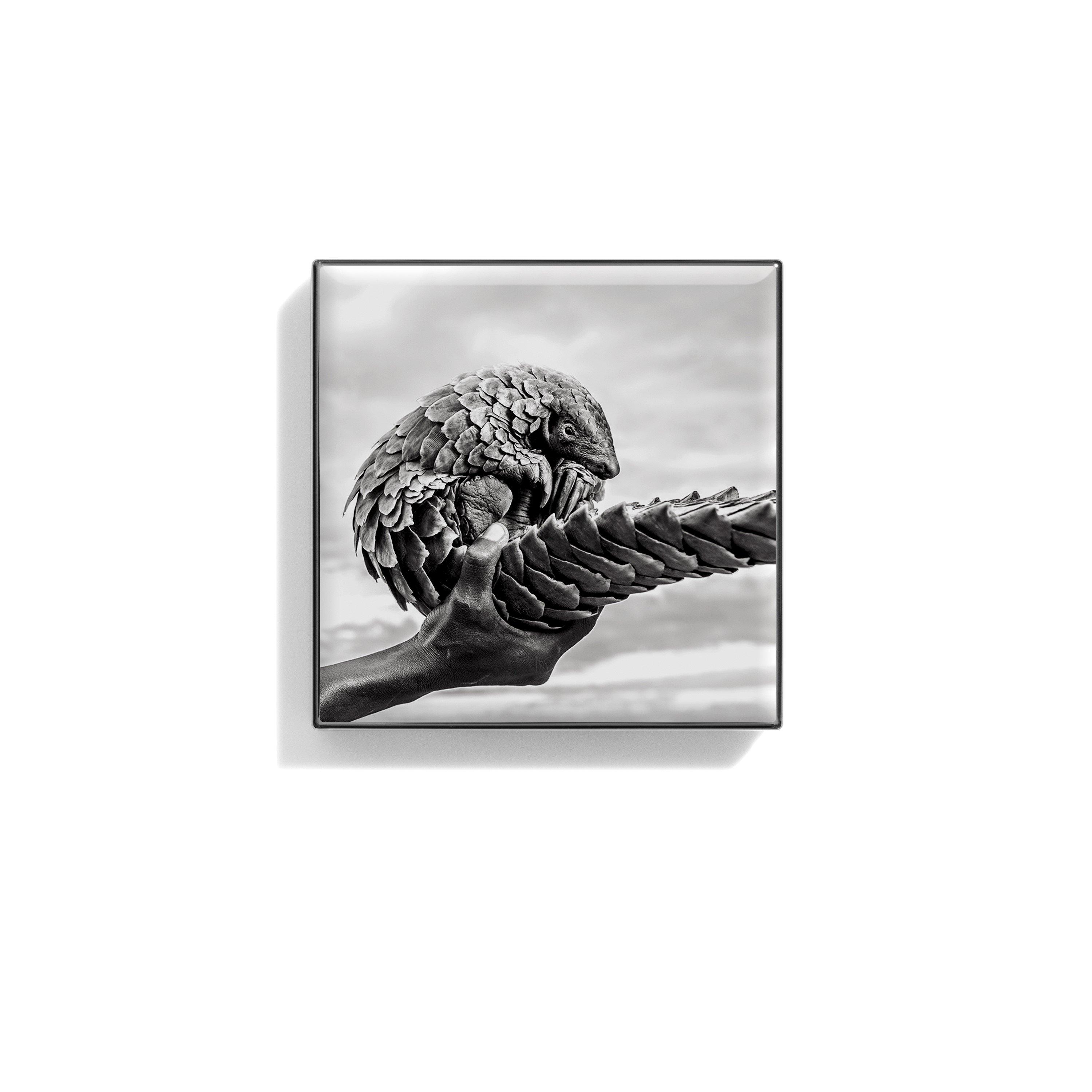 Pangolin - Chantecaille - Luminescent Eye Shade - 1