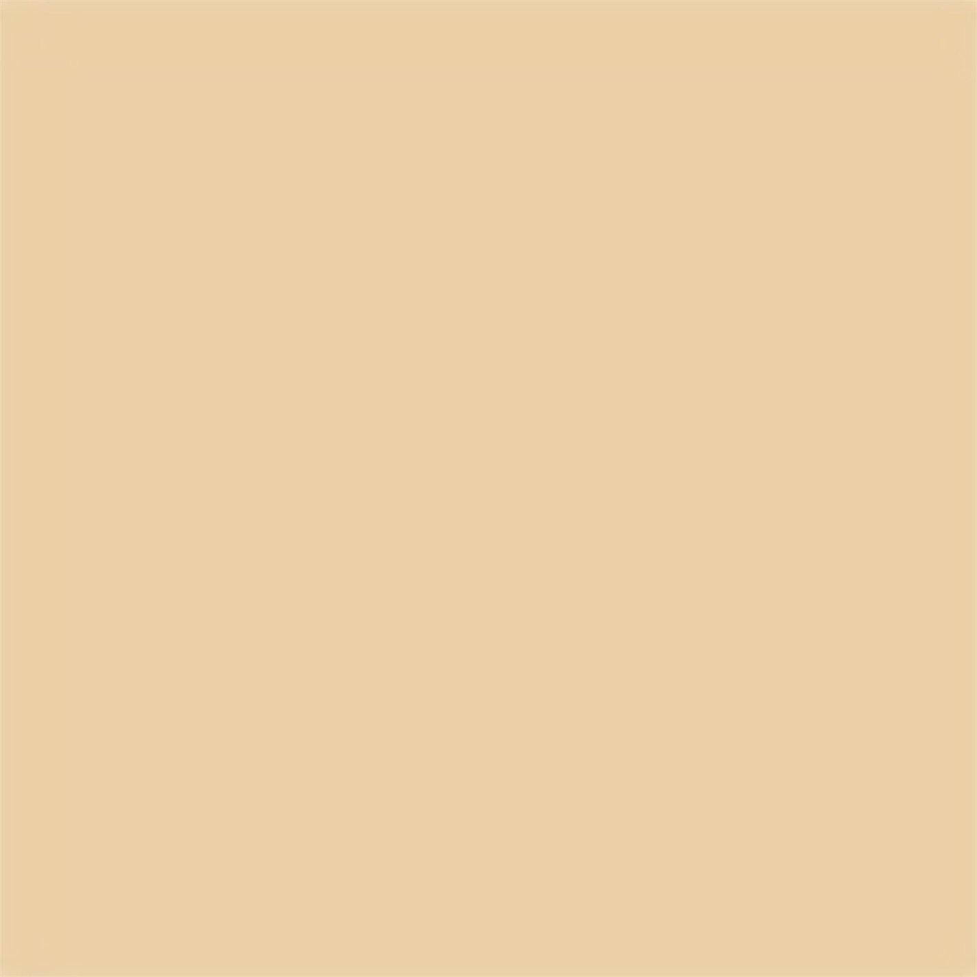 767 GLDN CINNA - DIOR - Dior Vernis - Limited Edition - 4