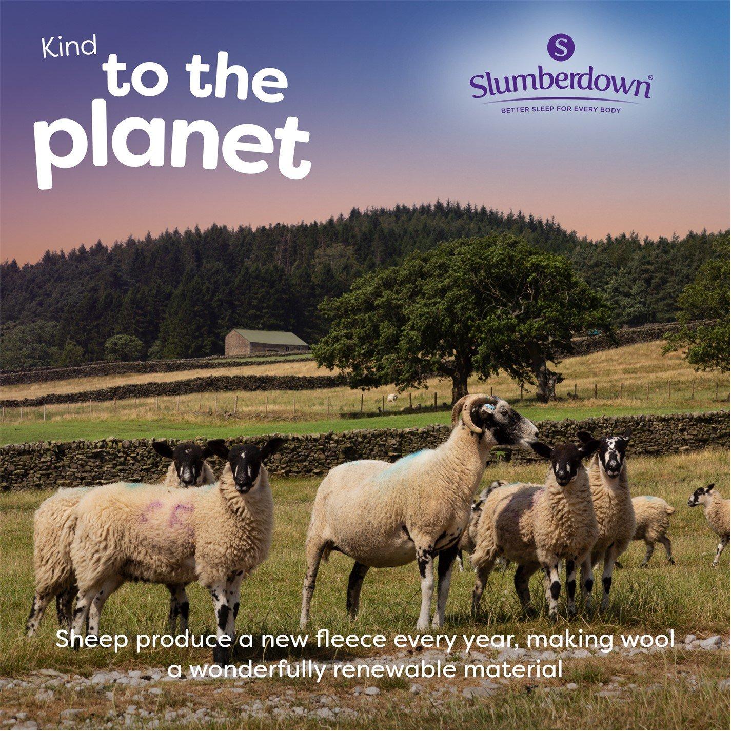 White - Slumberdown - Wonderful Wool 550gsm Heavy Duvets - 9