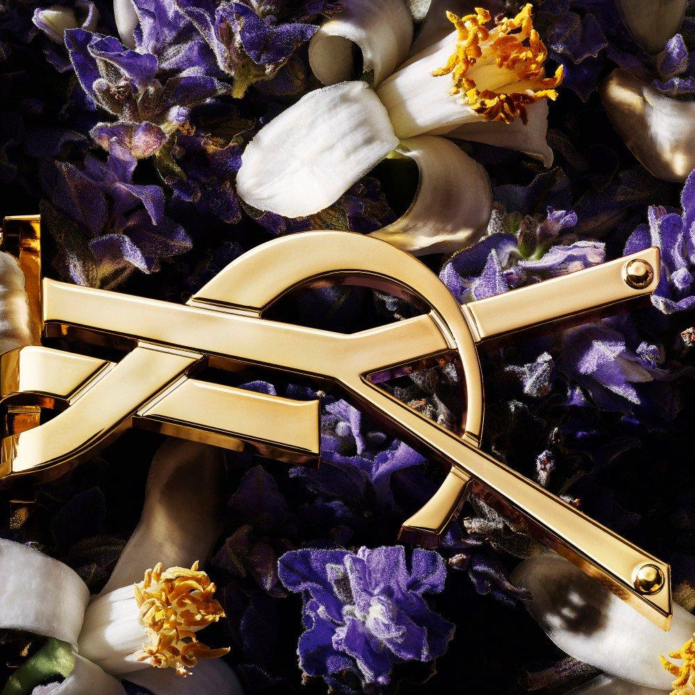 Clear - Yves Saint Laurent - LIBRE EAU DE PARFUM REFILL BOTTLE 100ML - 3