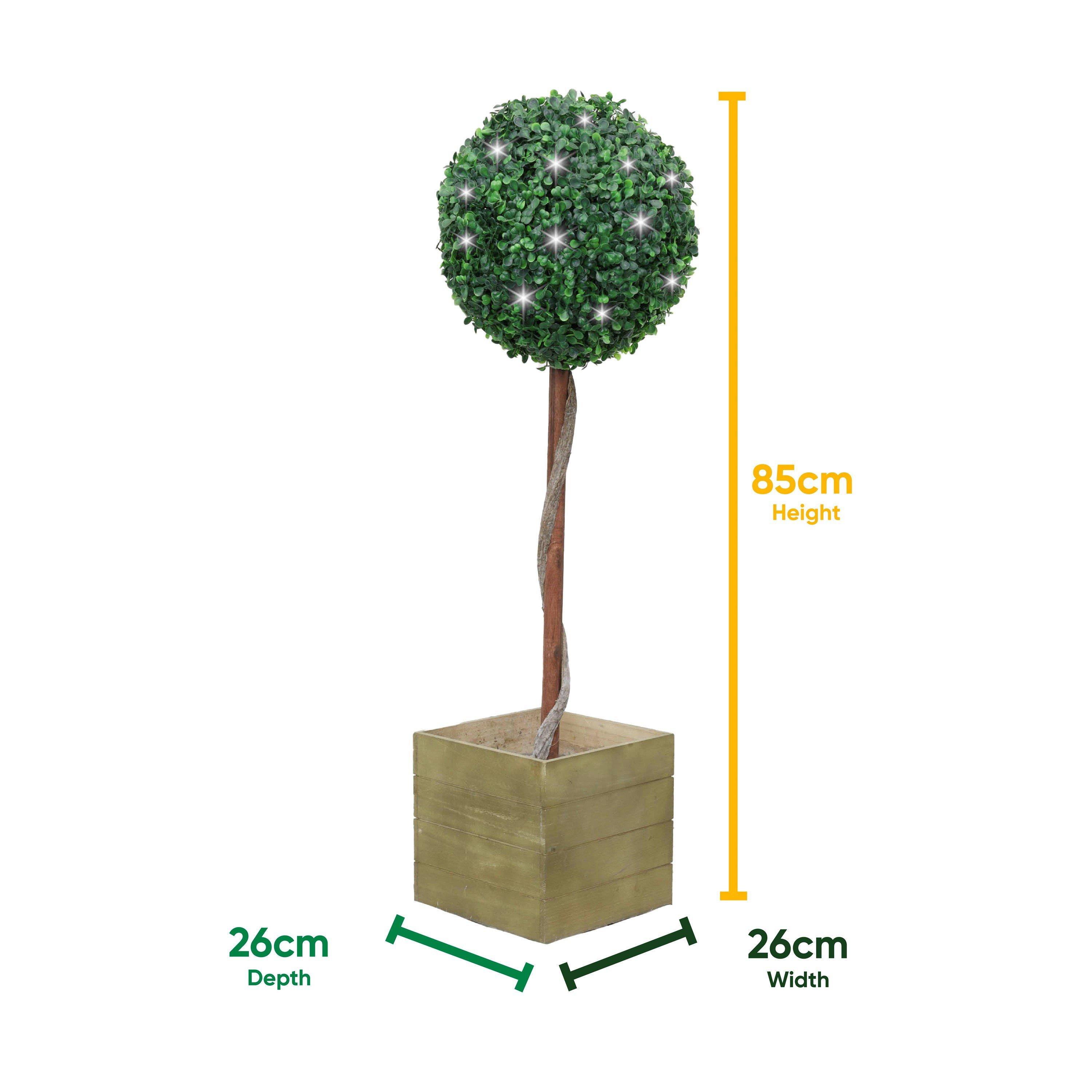 Green/Brown - Streetwize - Solar Single Bay Ball Tree in Pot - 2