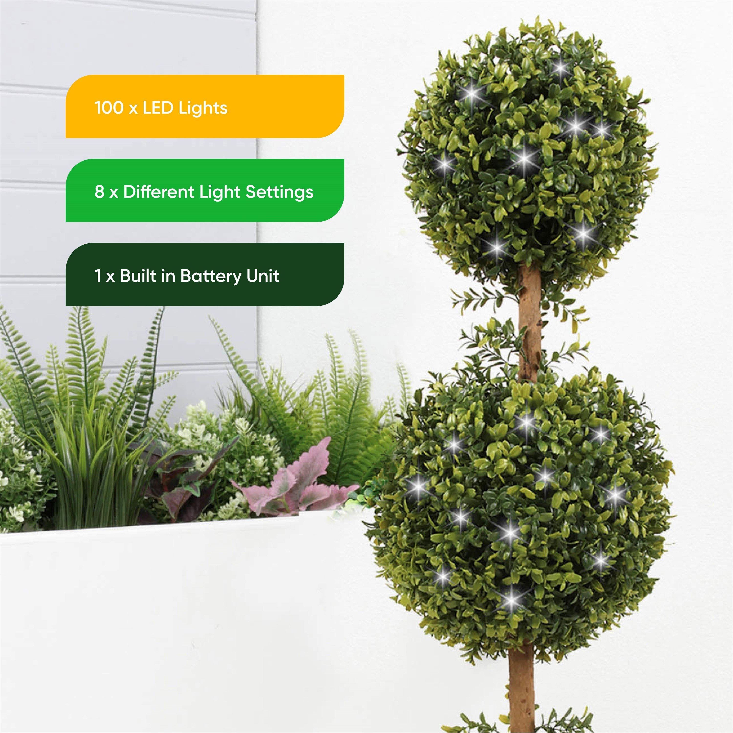 Green - Streetwize - Solar Double Bay Ball Tree in Pot - 6