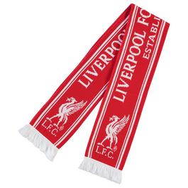 Team Football Scarf