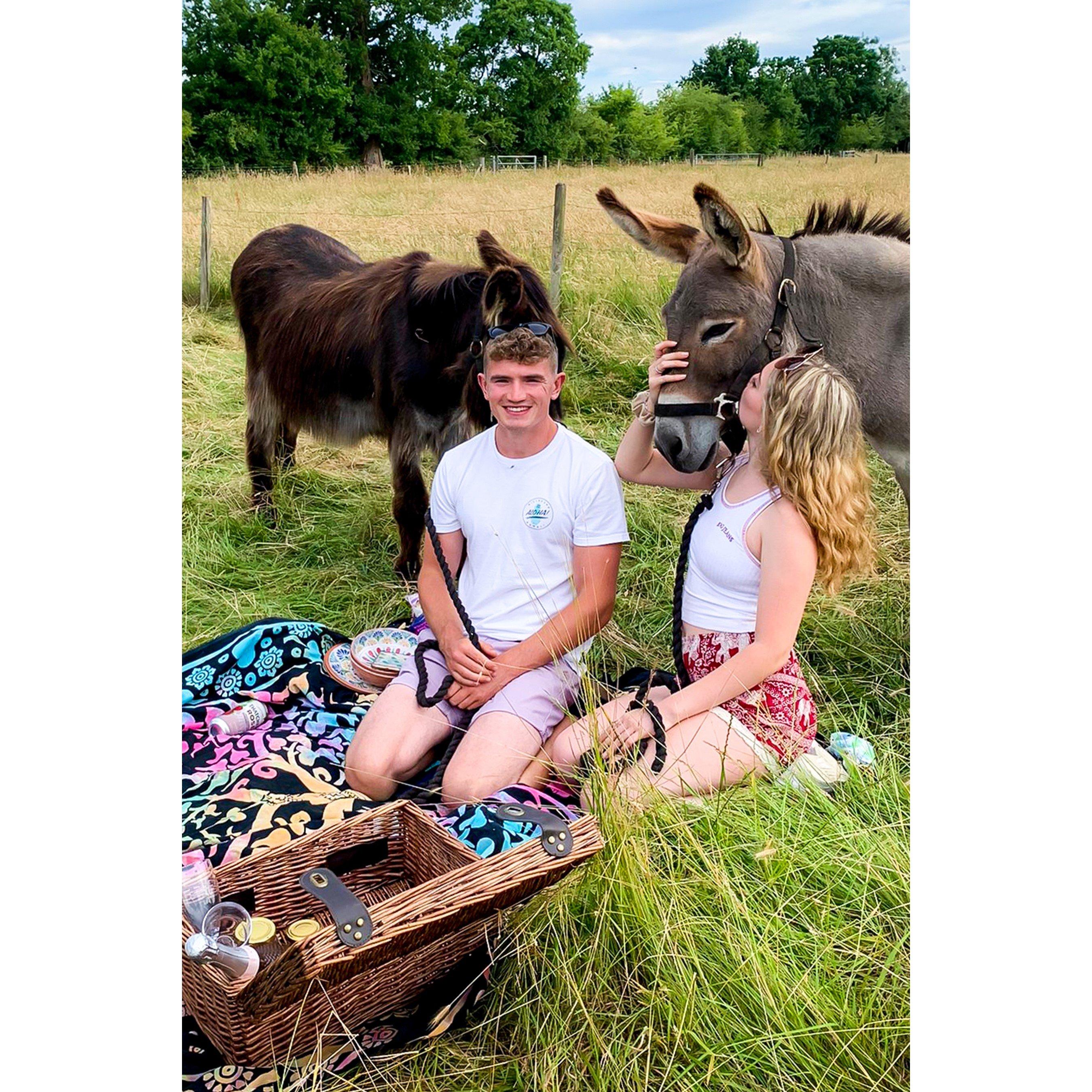 Activity Superstore  Donkey Picnic For Two At Dashing Donkeys