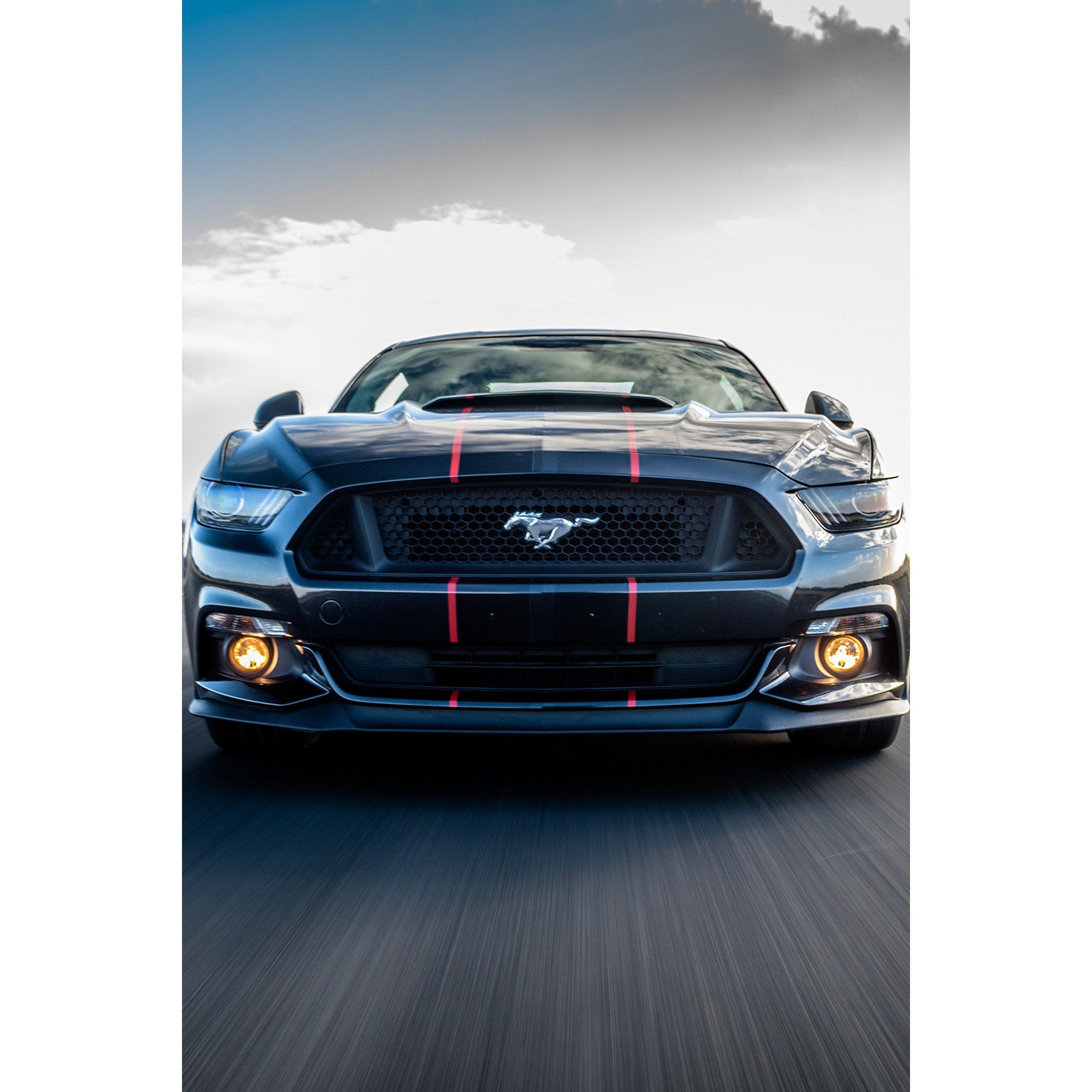 Activity Superstore  Ford Mustang Blast