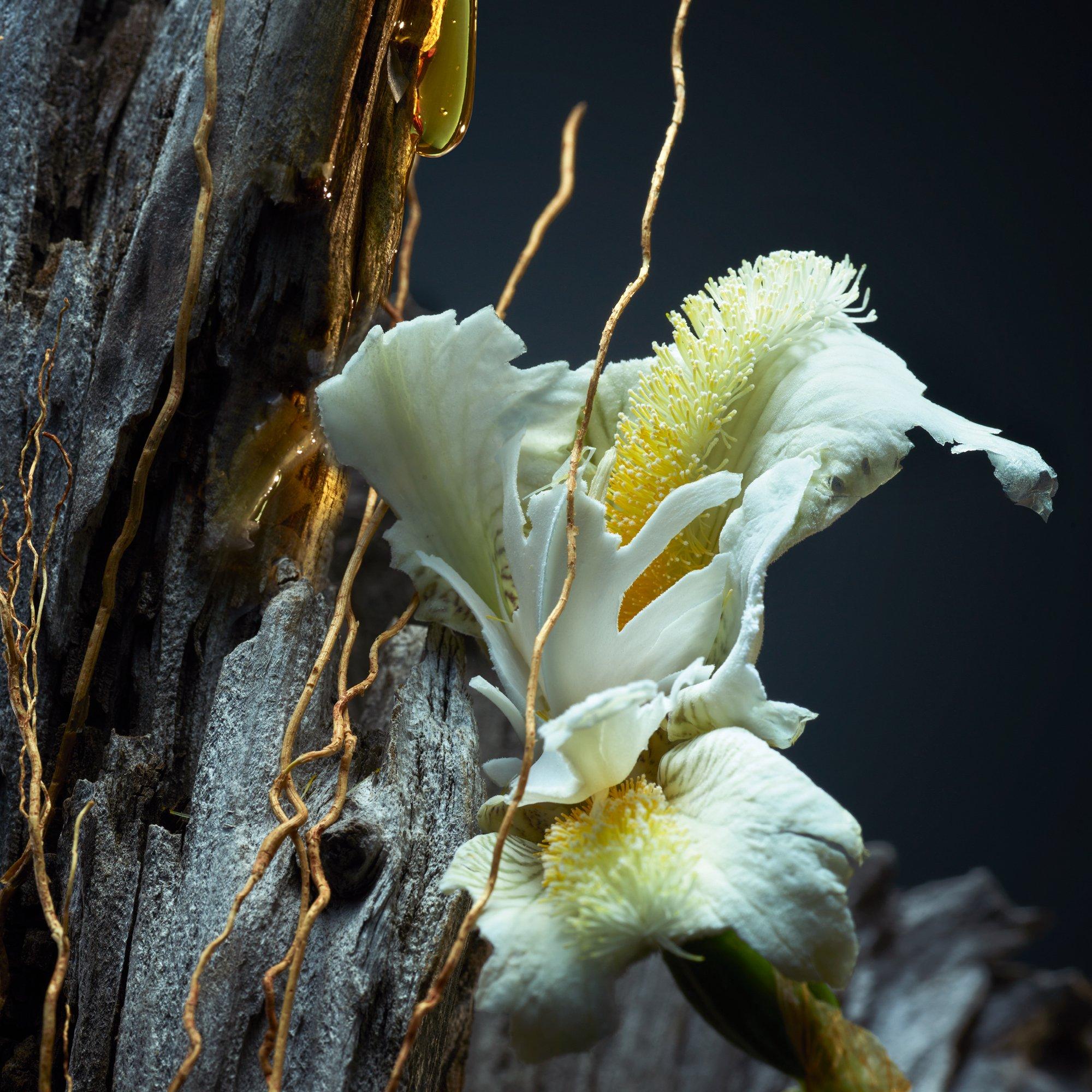 Clear - Guerlain - Vétiver Le Parfum Eau de Parfum - 3