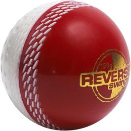 Gray Nicolls Gray N 4.75oz RSBall Sn99