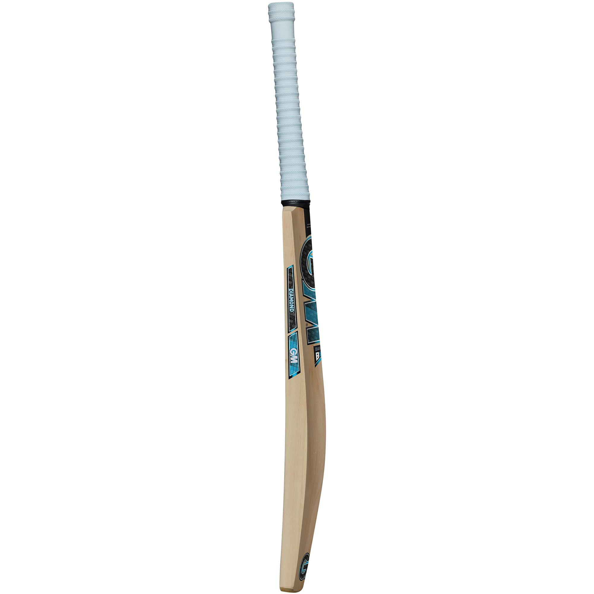 Blue - Gunn And Moore - Cricket Bat - 4