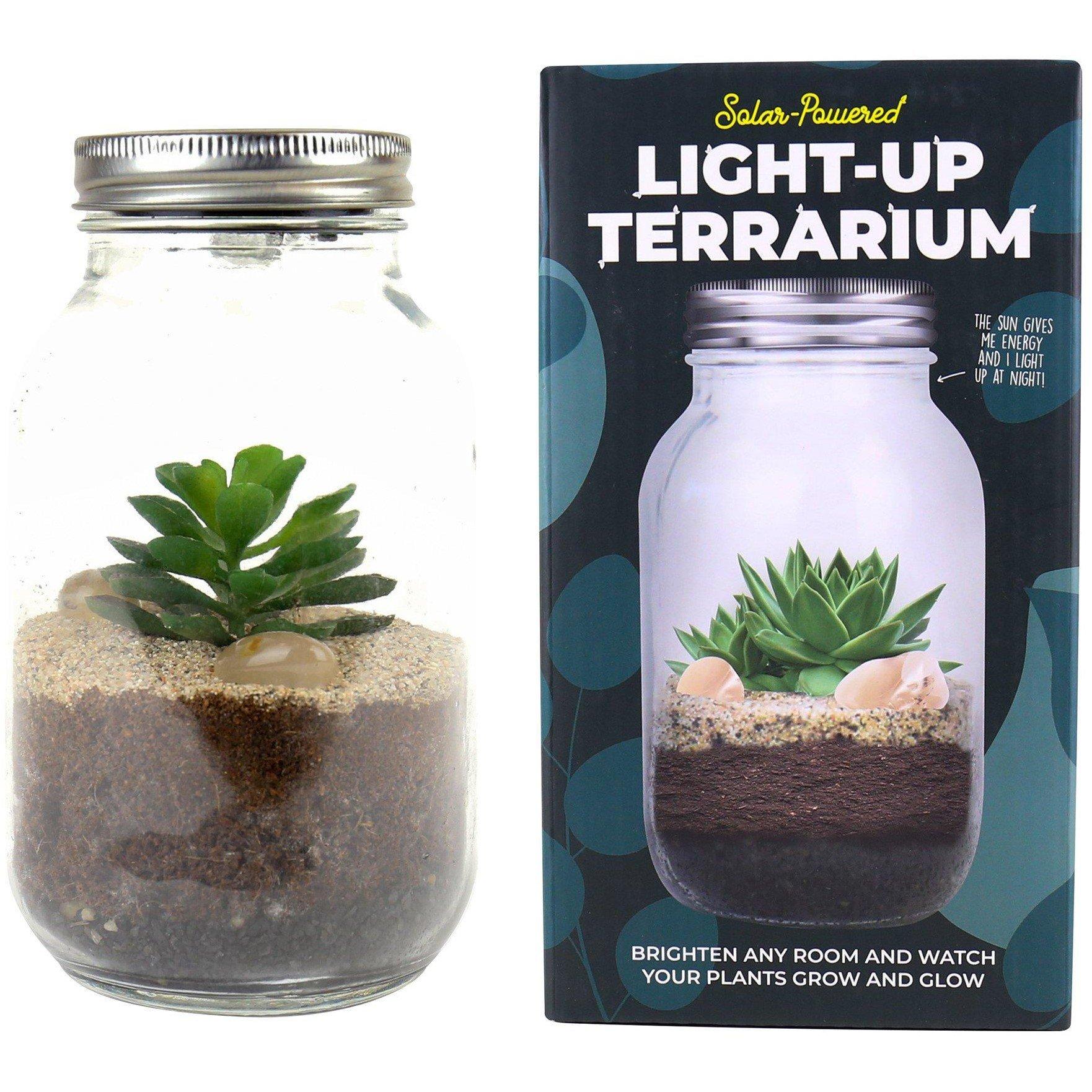 Clear - Gift Republic - Light Up Terrarium - 1