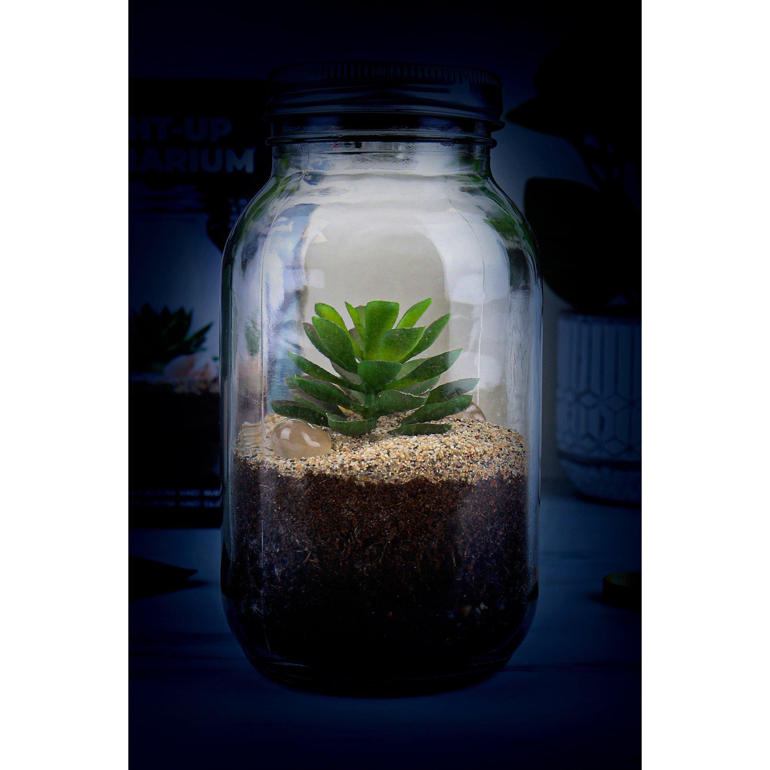 Clear - Gift Republic - Light Up Terrarium - 2