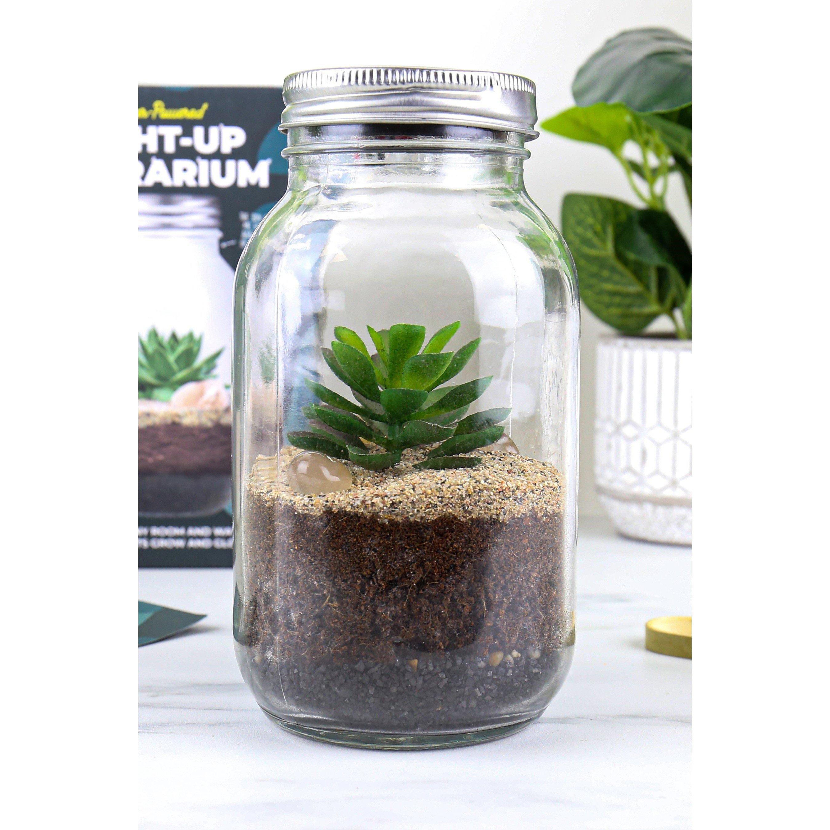 Clear - Gift Republic - Light Up Terrarium - 3
