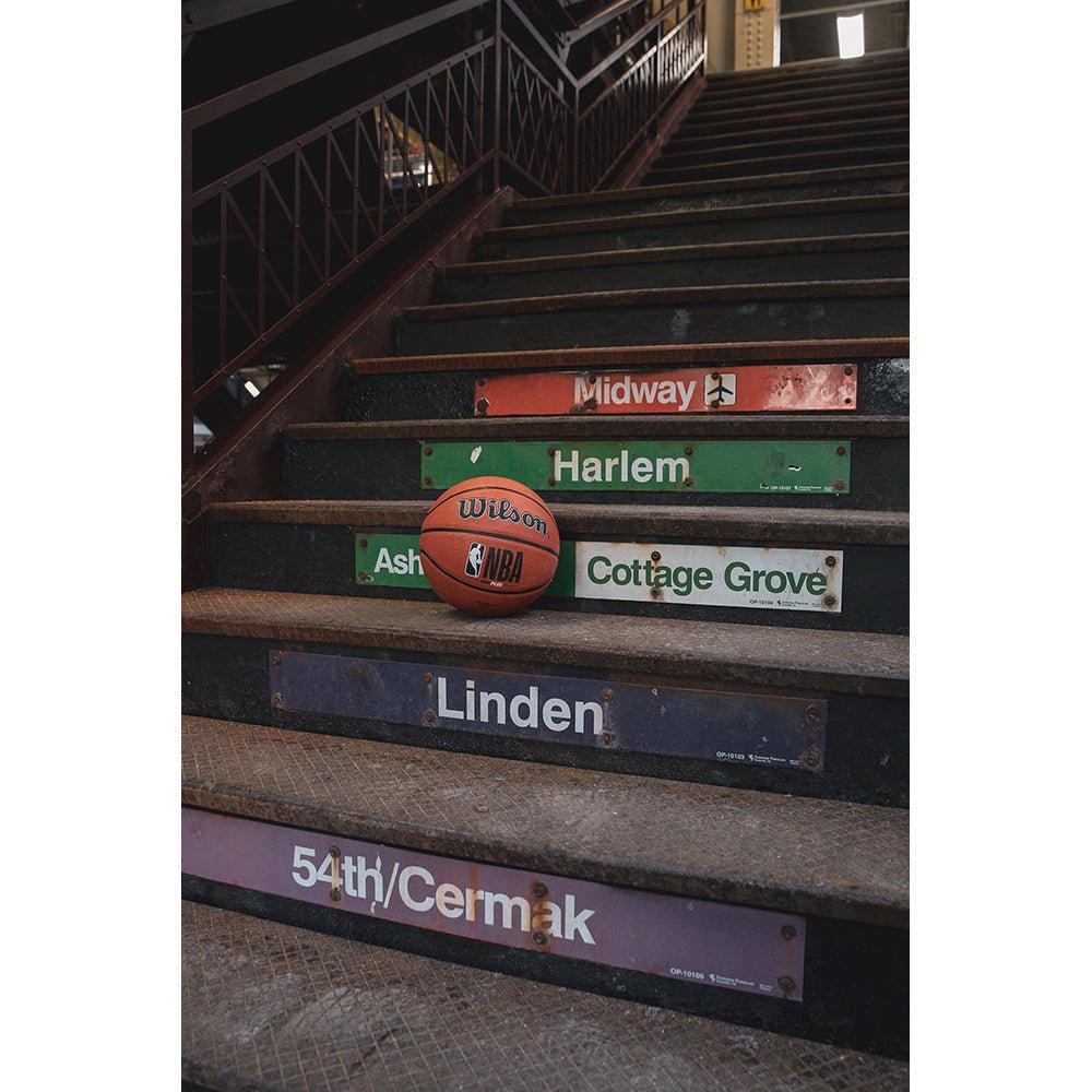 Neutral - Wilson - Wilson NBA DRV Plus Basketball - 10