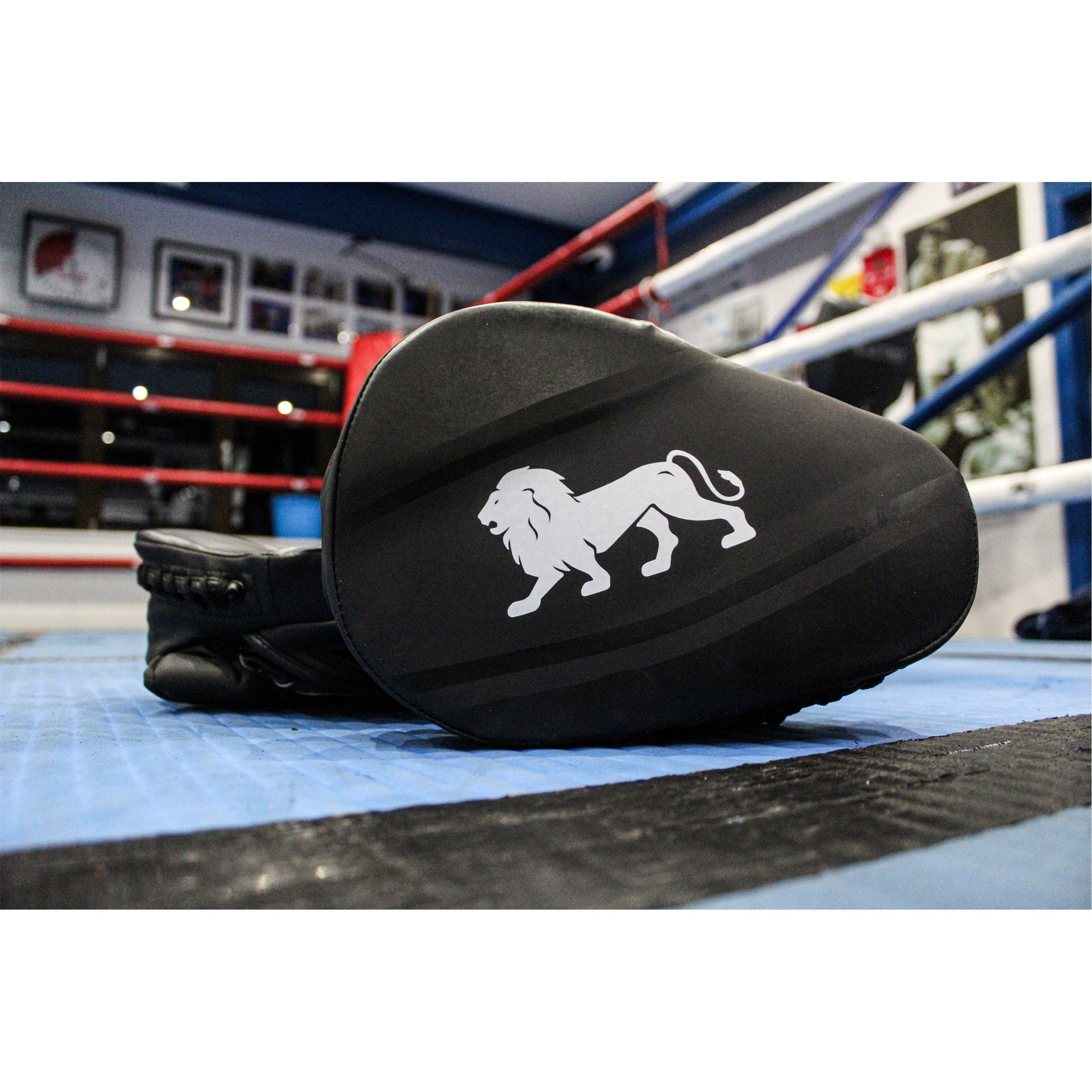 Neutral - Lonsdale - Lonsdale Training PU Curved Hook & Jab Pads - 4