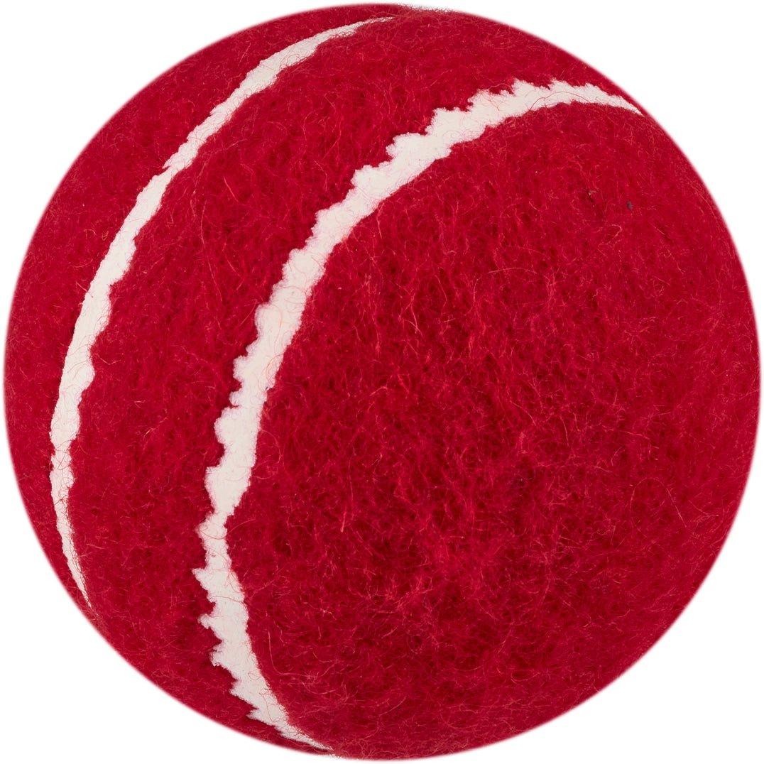 Neutral - Slazenger - Slazenger Allplay Cricket Balls (Set of 6) - 5