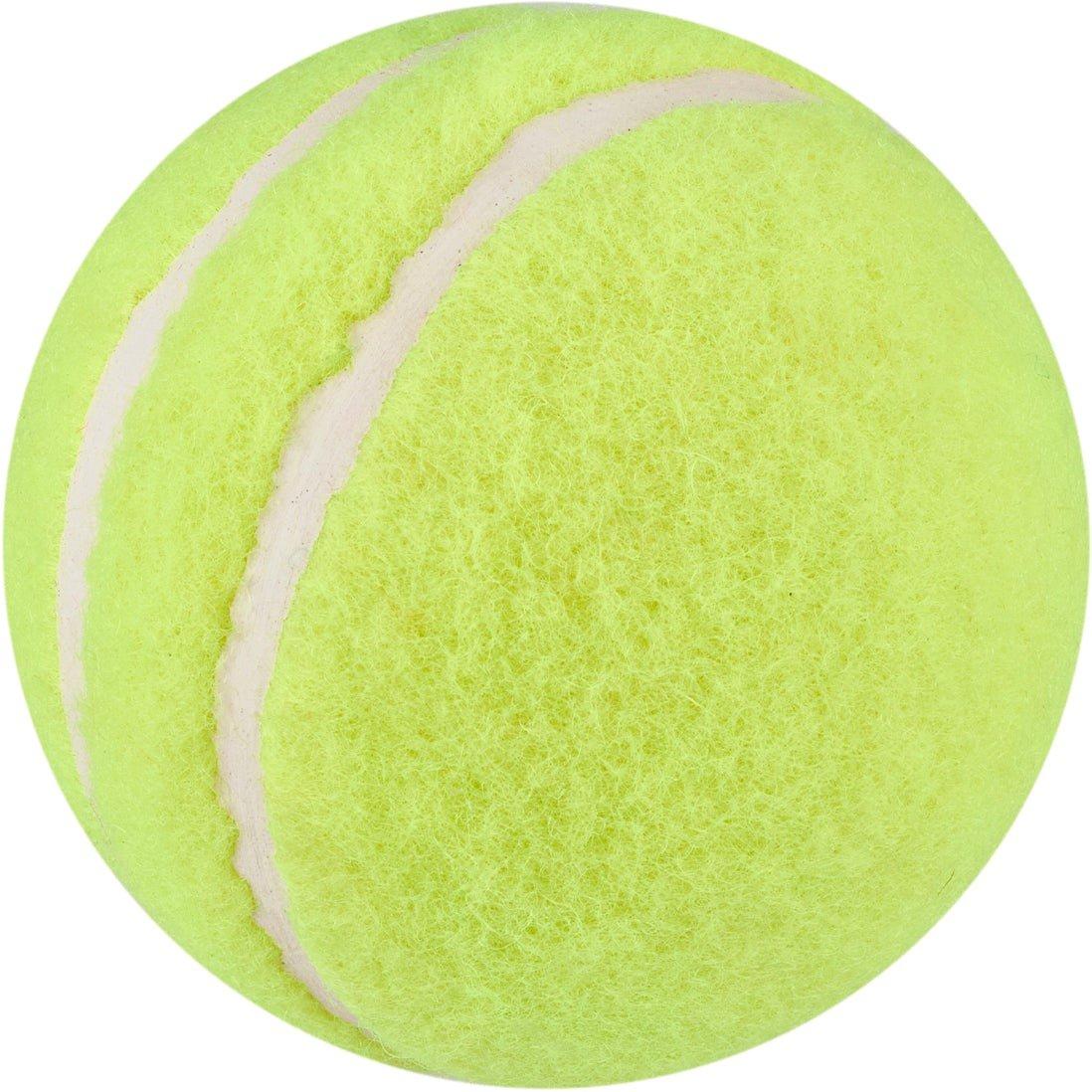 Neutral - Slazenger - Slazenger Allplay Cricket Balls (Set of 6) - 8