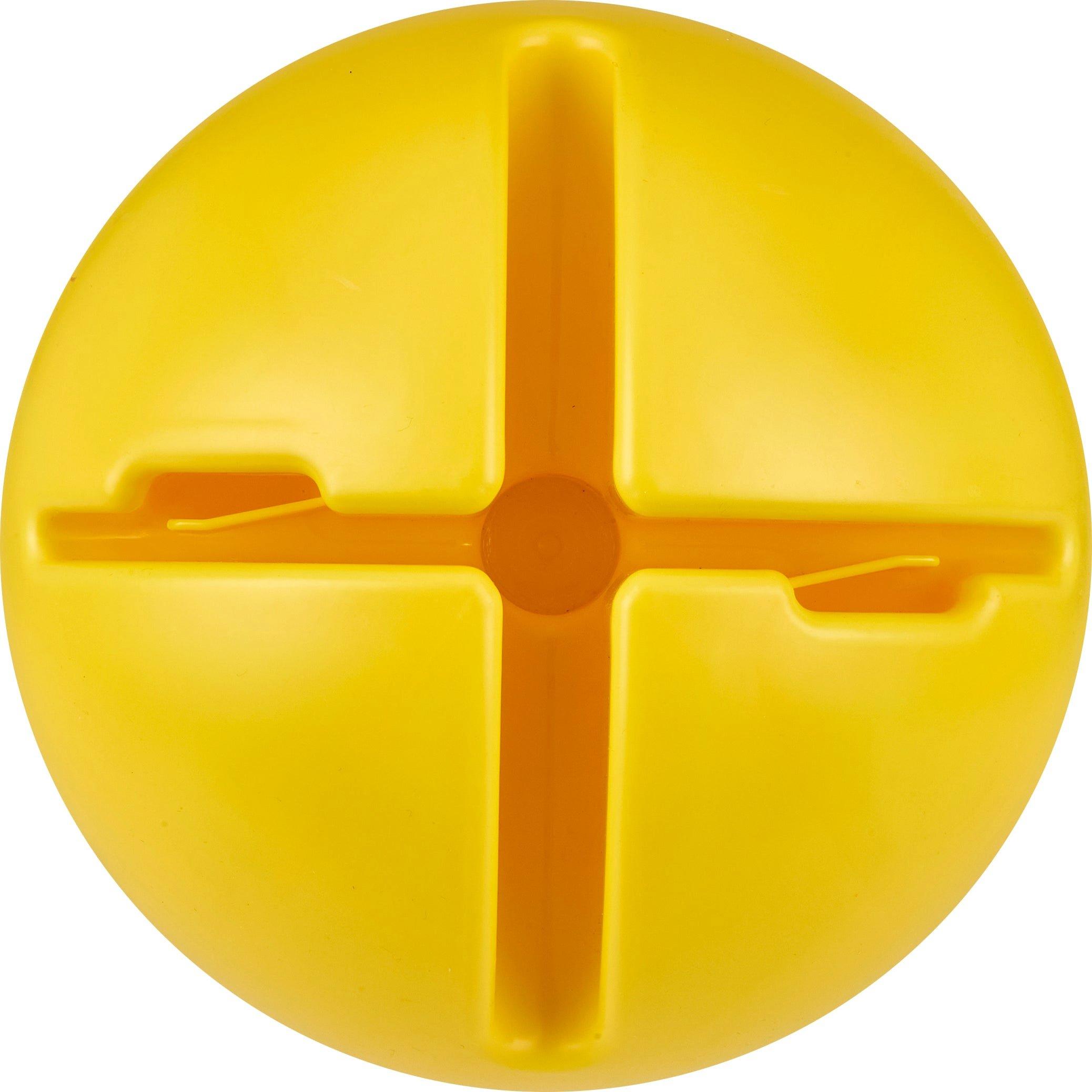 Neutral - Sports Directory - Shape Obstacle Course - 12