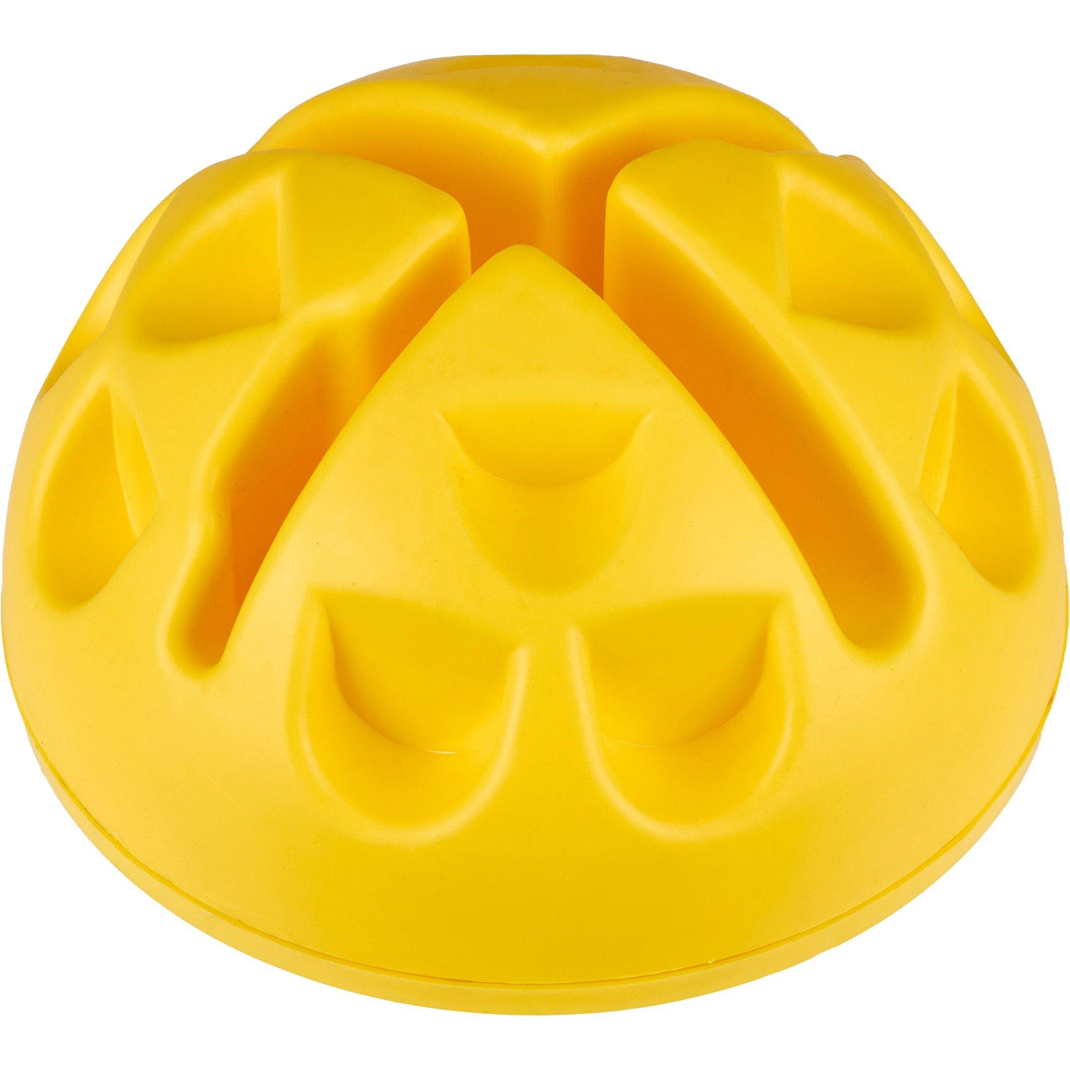 Neutral - Sports Directory - Hoop & Rod Dome - 1