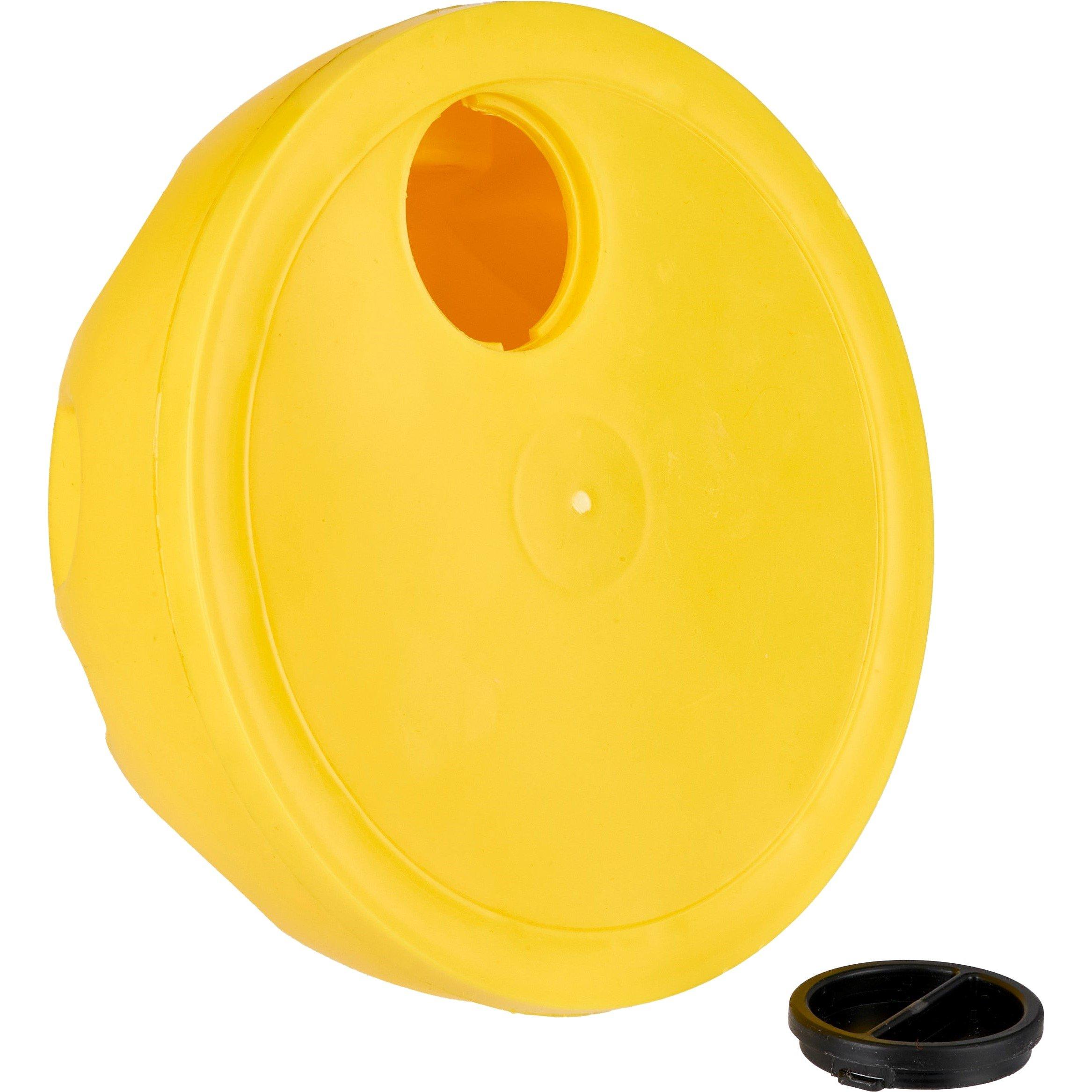 Neutral - Sports Directory - Hoop & Rod Dome - 3