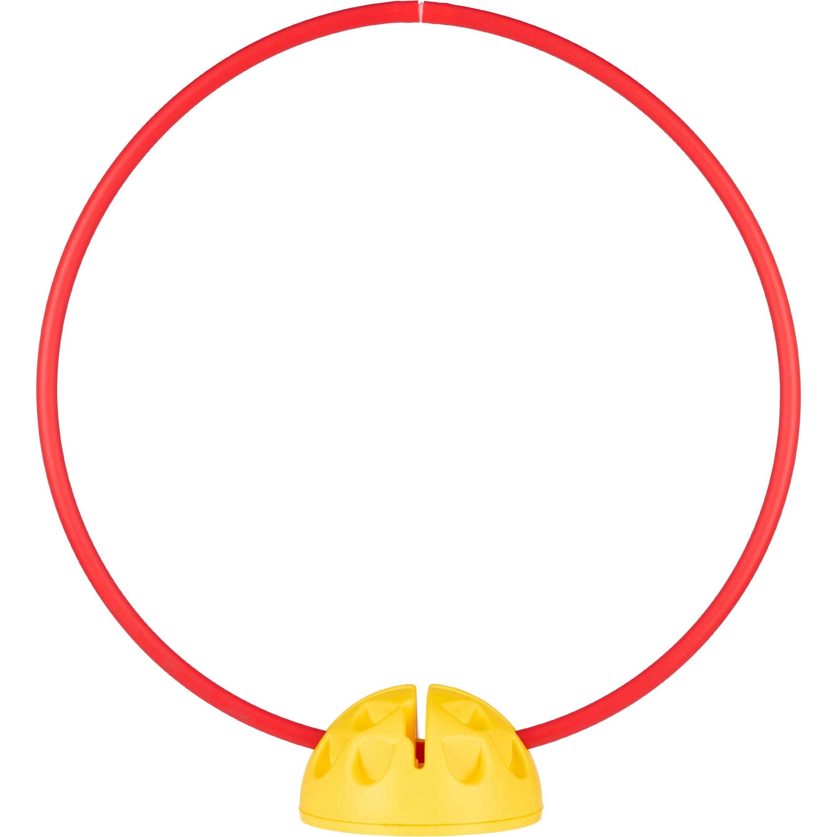 Neutral - Sports Directory - Hoop & Rod Dome - 4