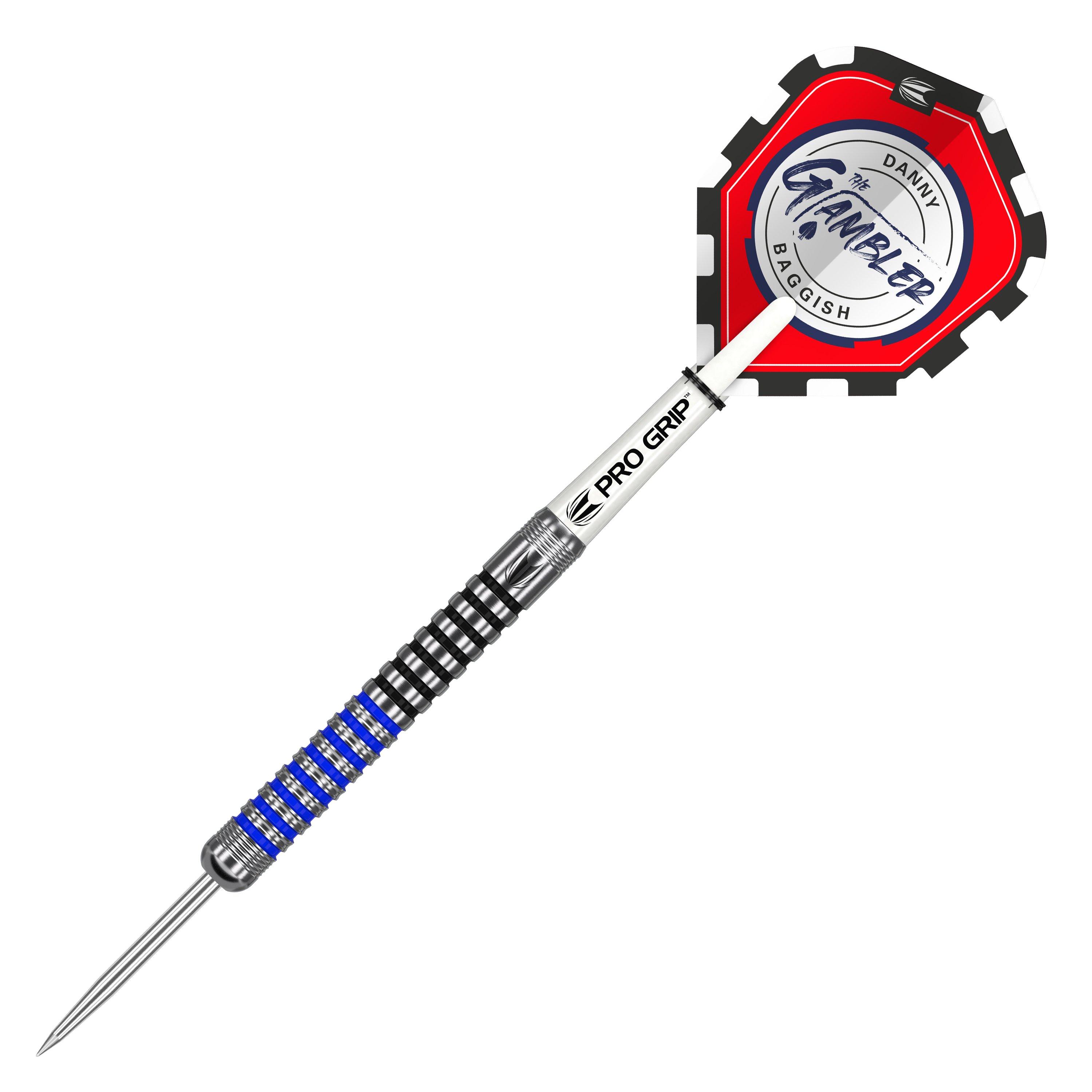 Multi - Target Darts - Danny Baggish Tungsten 21G Darts - 2