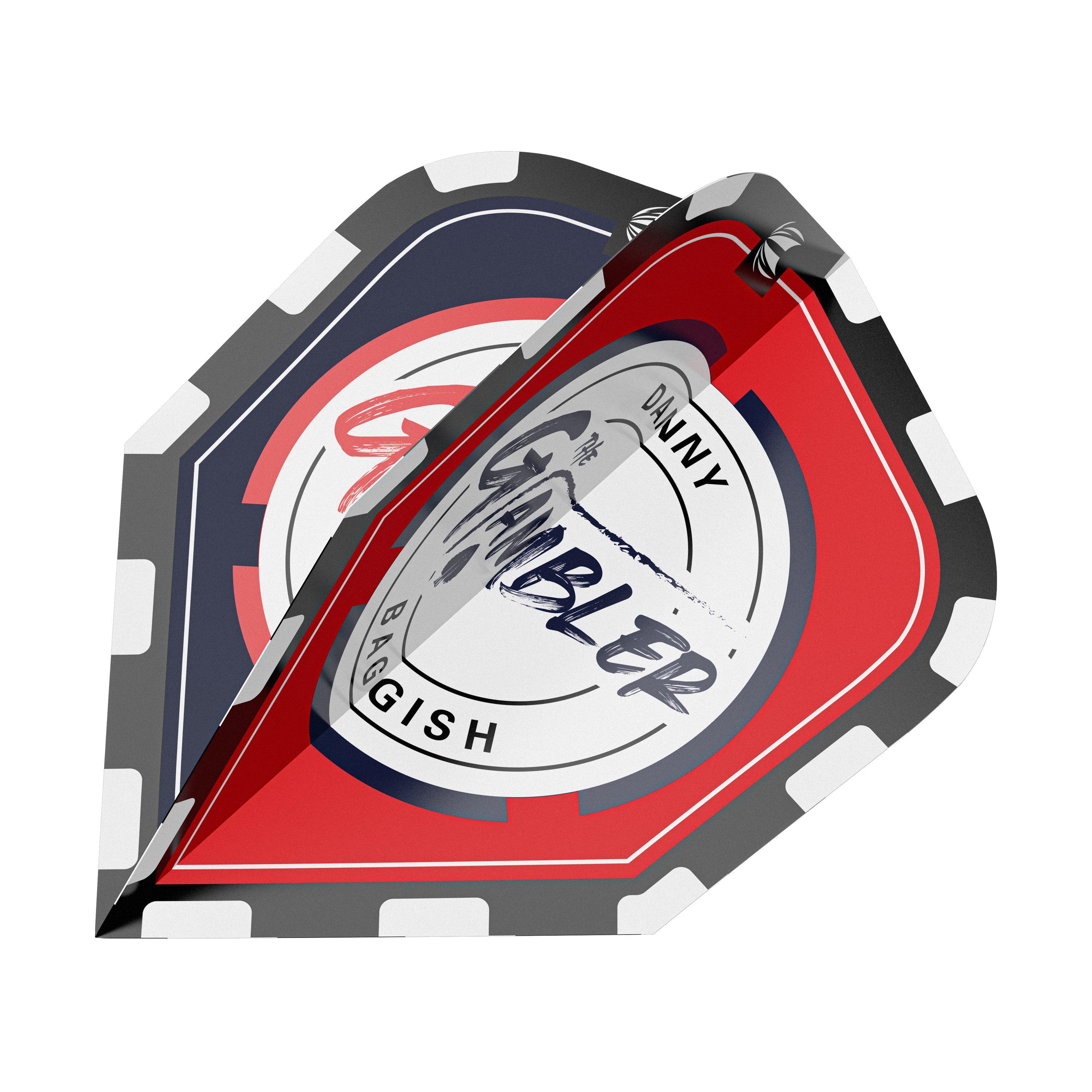 Multi - Target Darts - Danny Baggish Tungsten 21G Darts - 4