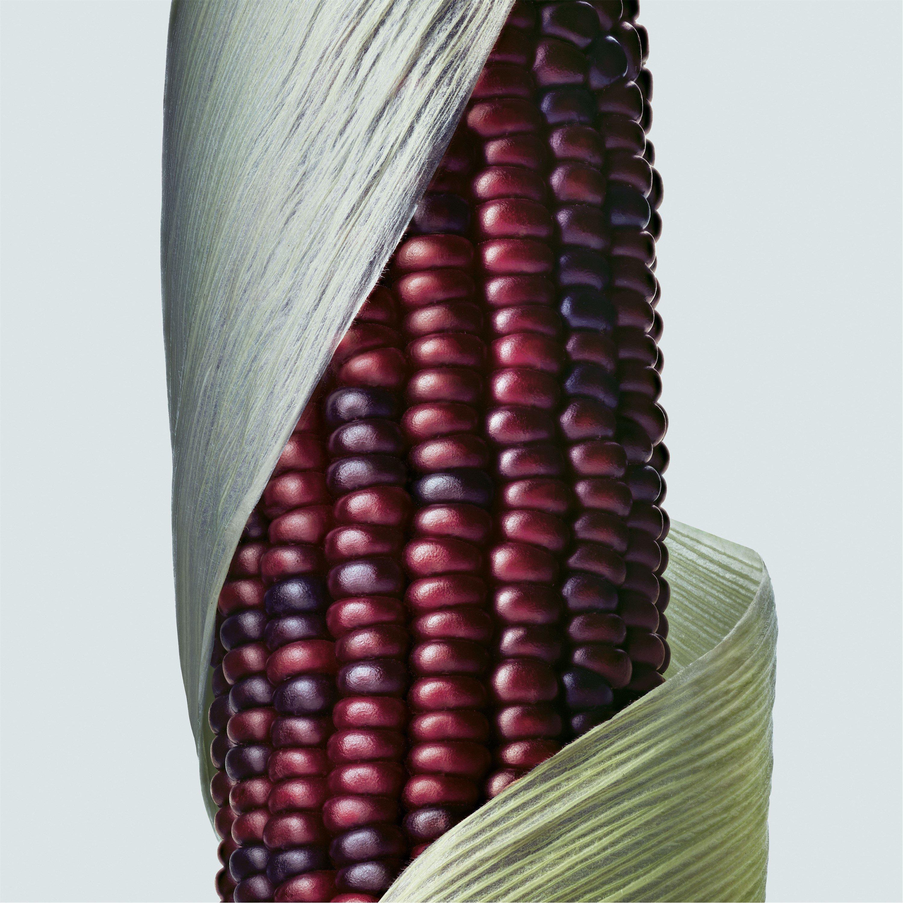 Clear - Aveda - Botanical Repair™ Intensive Strengthening Masque Light - 7