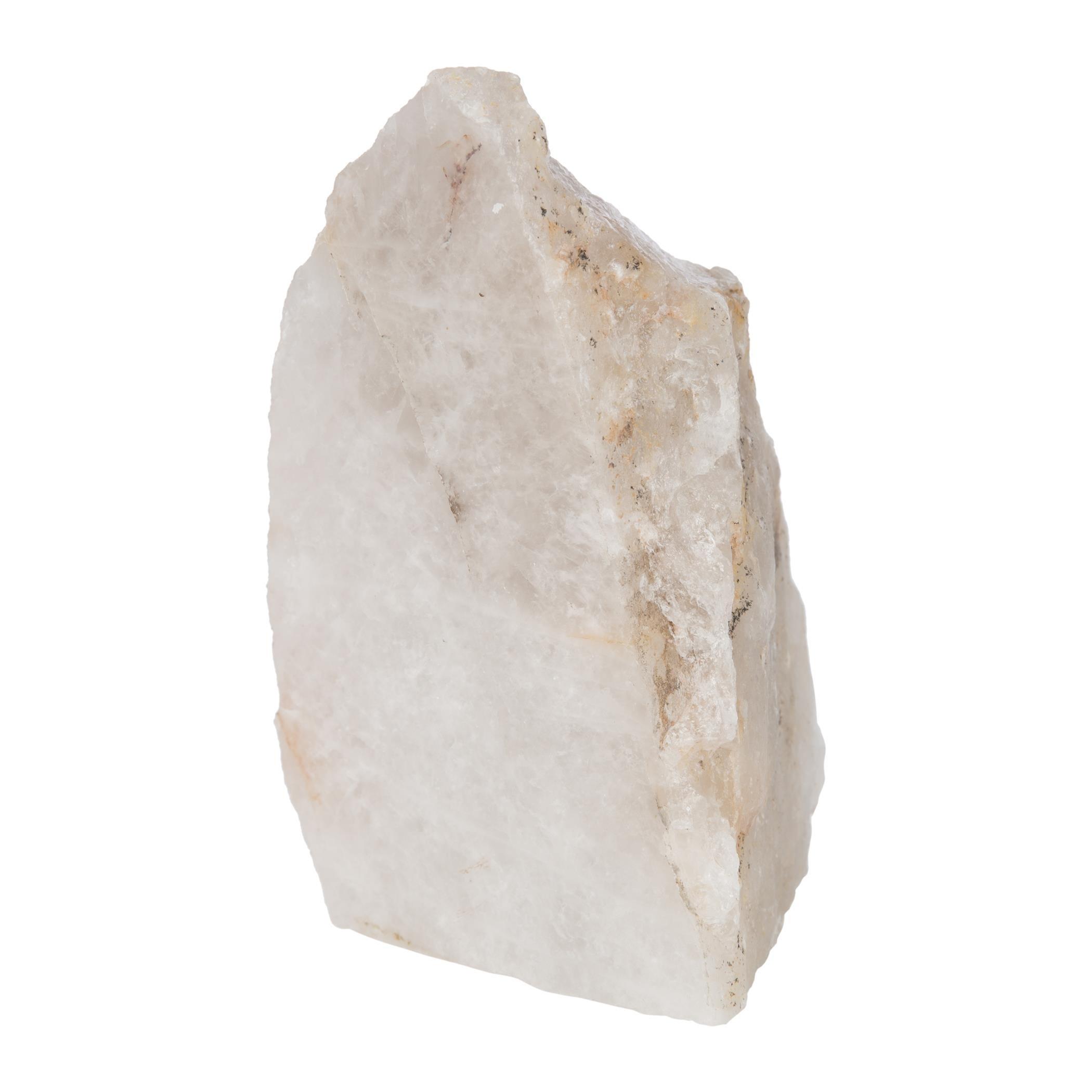 Beige - Luxe - Natural Fossil Object - 4