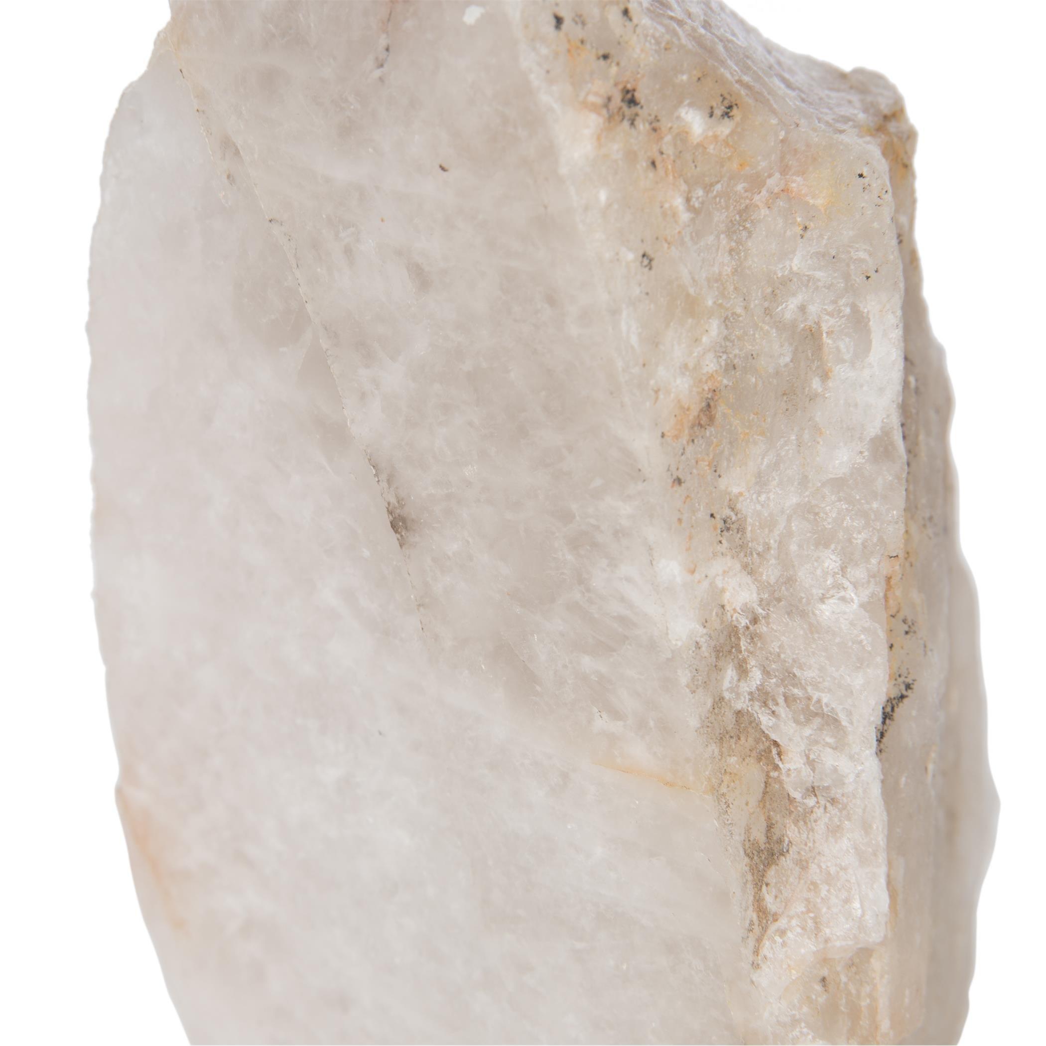 Beige - Luxe - Natural Fossil Object - 8