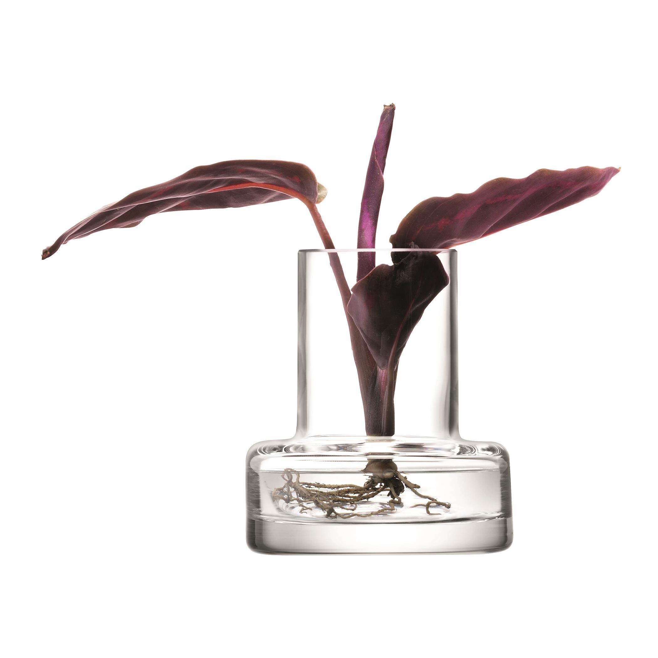 Clear - LSA - Metropole Five Mini Vase Set - 11