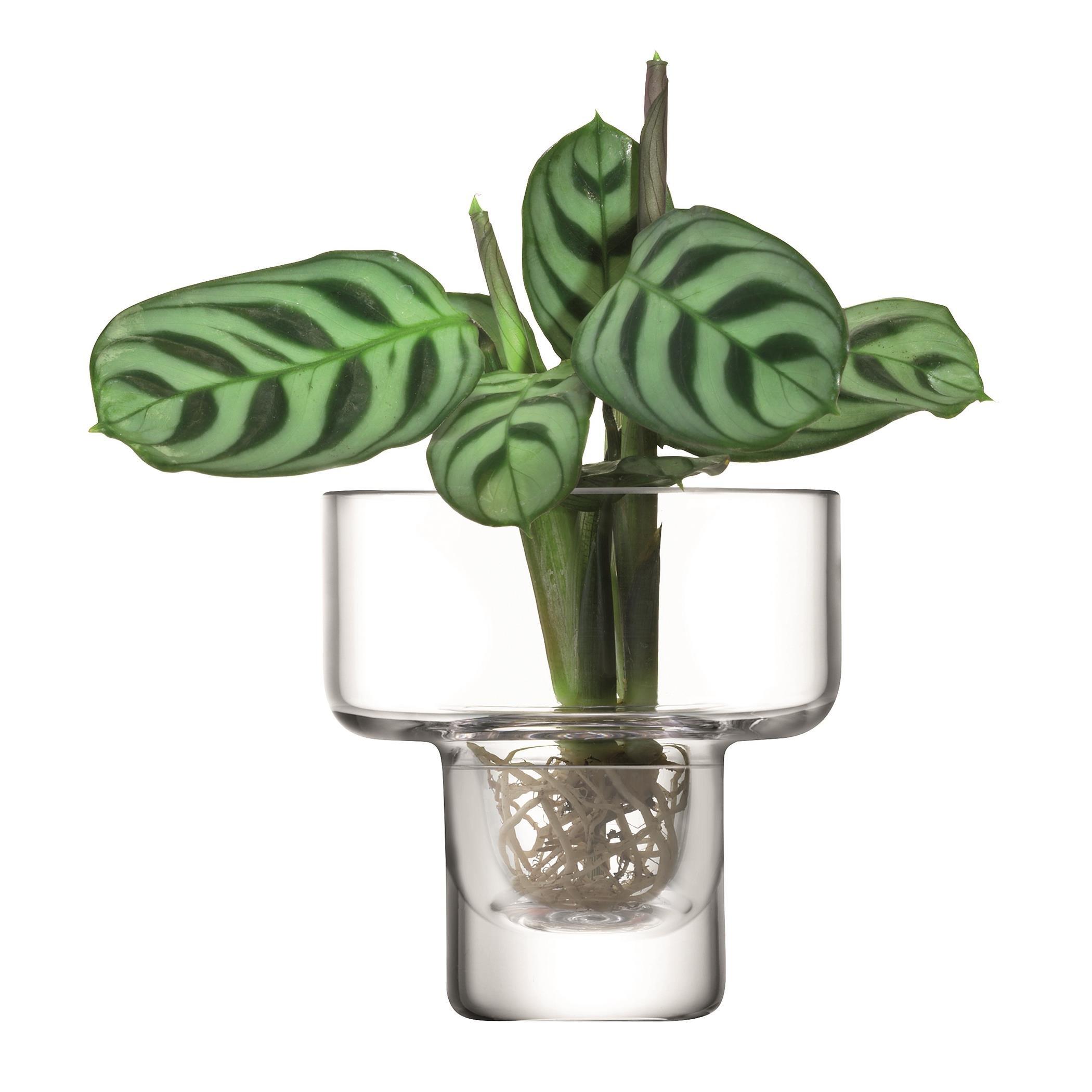 Clear - LSA - Metropole Five Mini Vase Set - 13