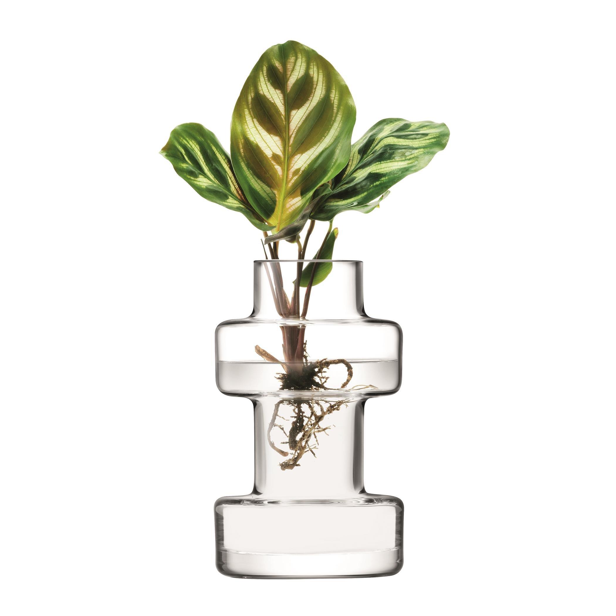 Clear - LSA - Metropole Five Mini Vase Set - 7