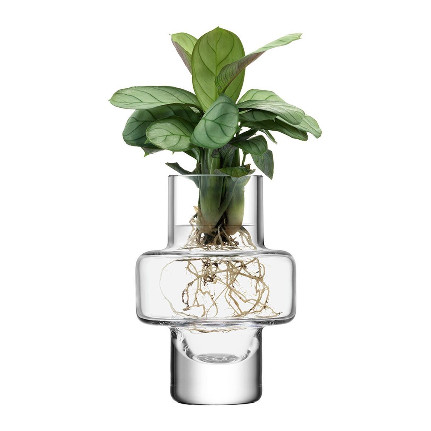 Clear - LSA - Metropole Five Mini Vase Set - 9