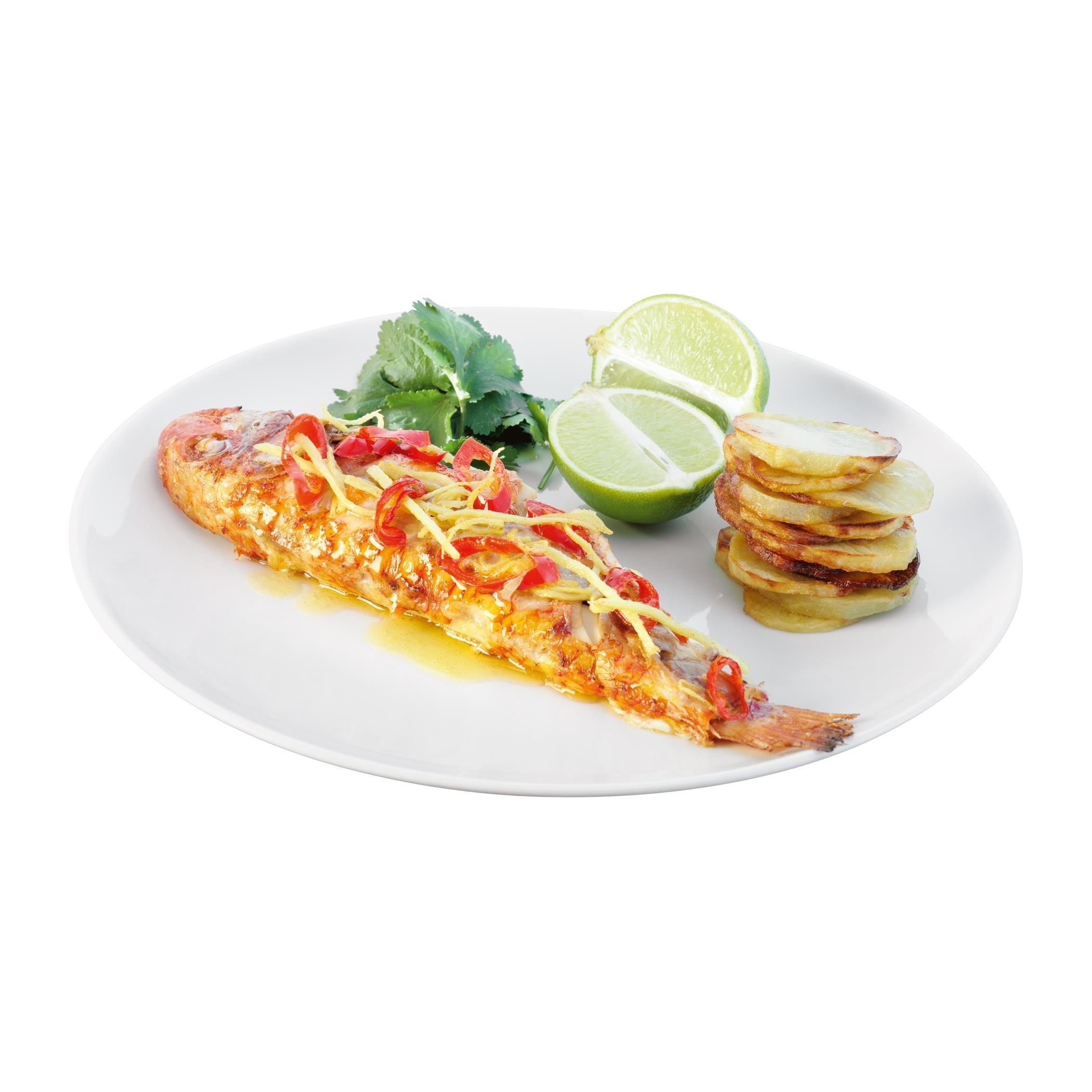 None - LSA - Dine Coupe Dinner Plates - Set of 4 - 2