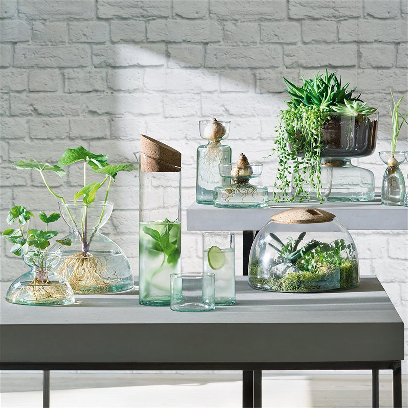 Clear - LSA - Canopy Beer Glass - Set of 4 - 8